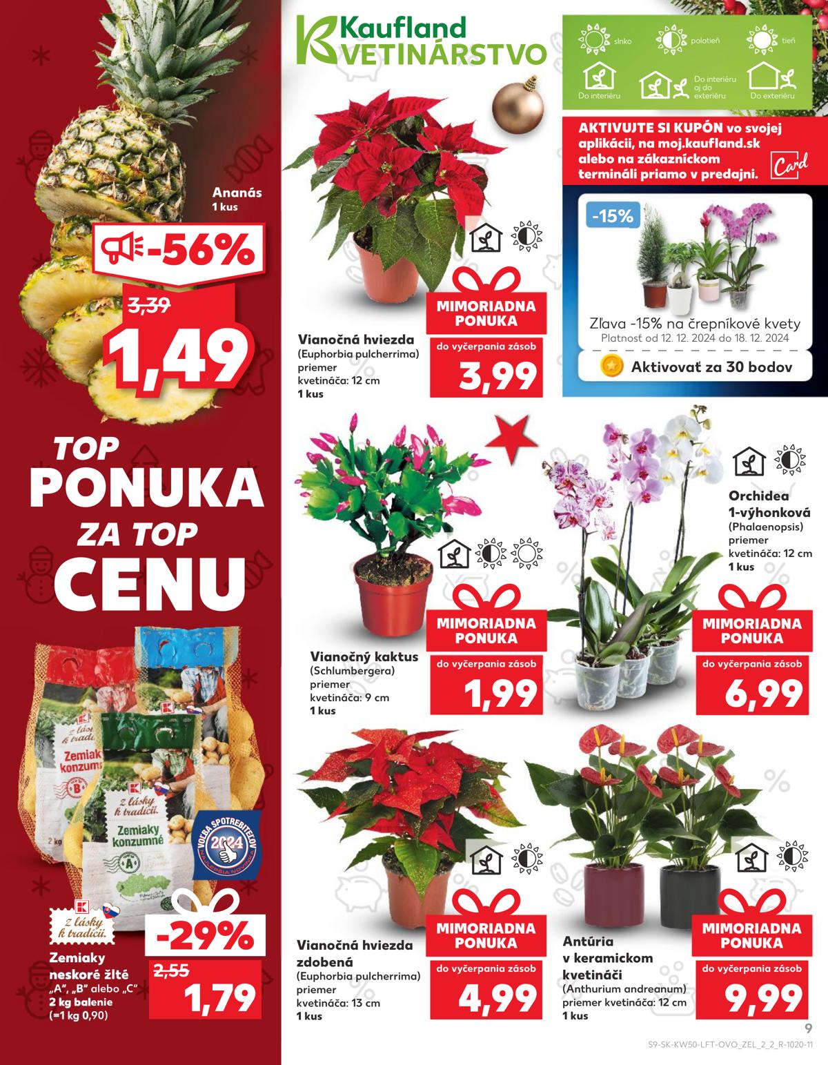 Kaufland leaflet 10