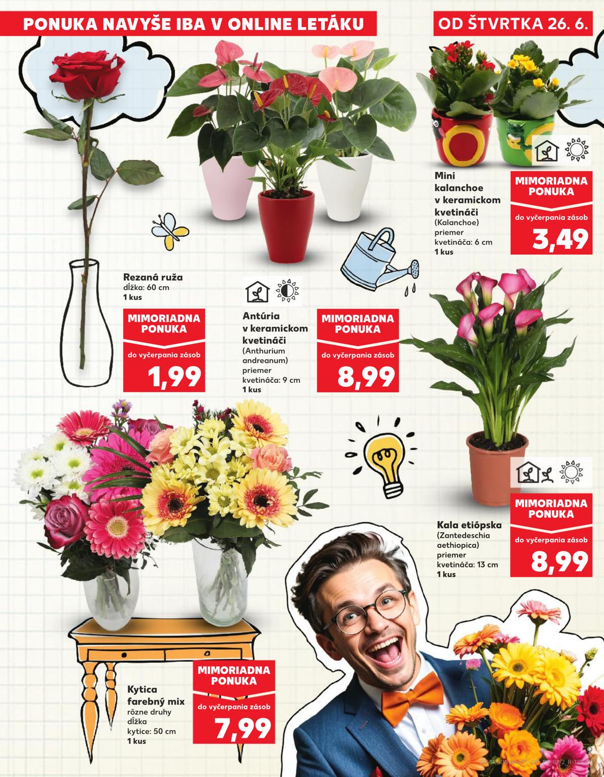 Kaufland leaflet 010