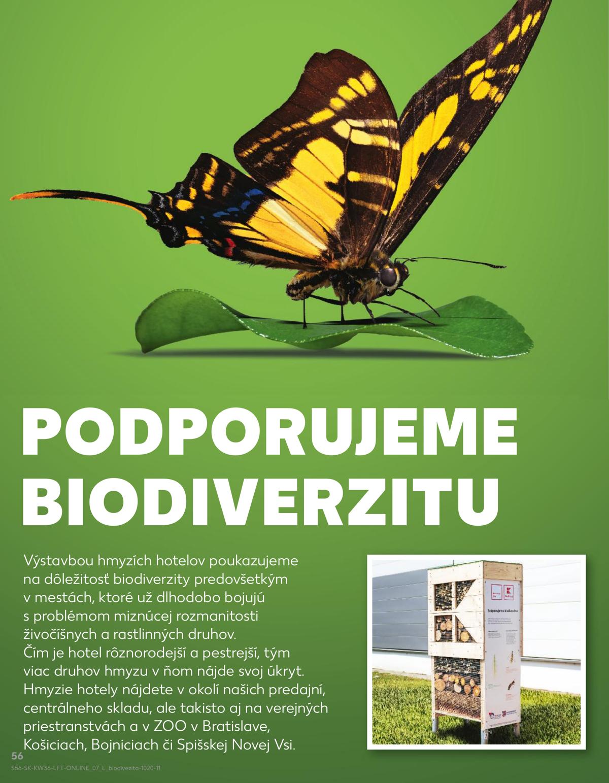 Kaufland leaflet 057