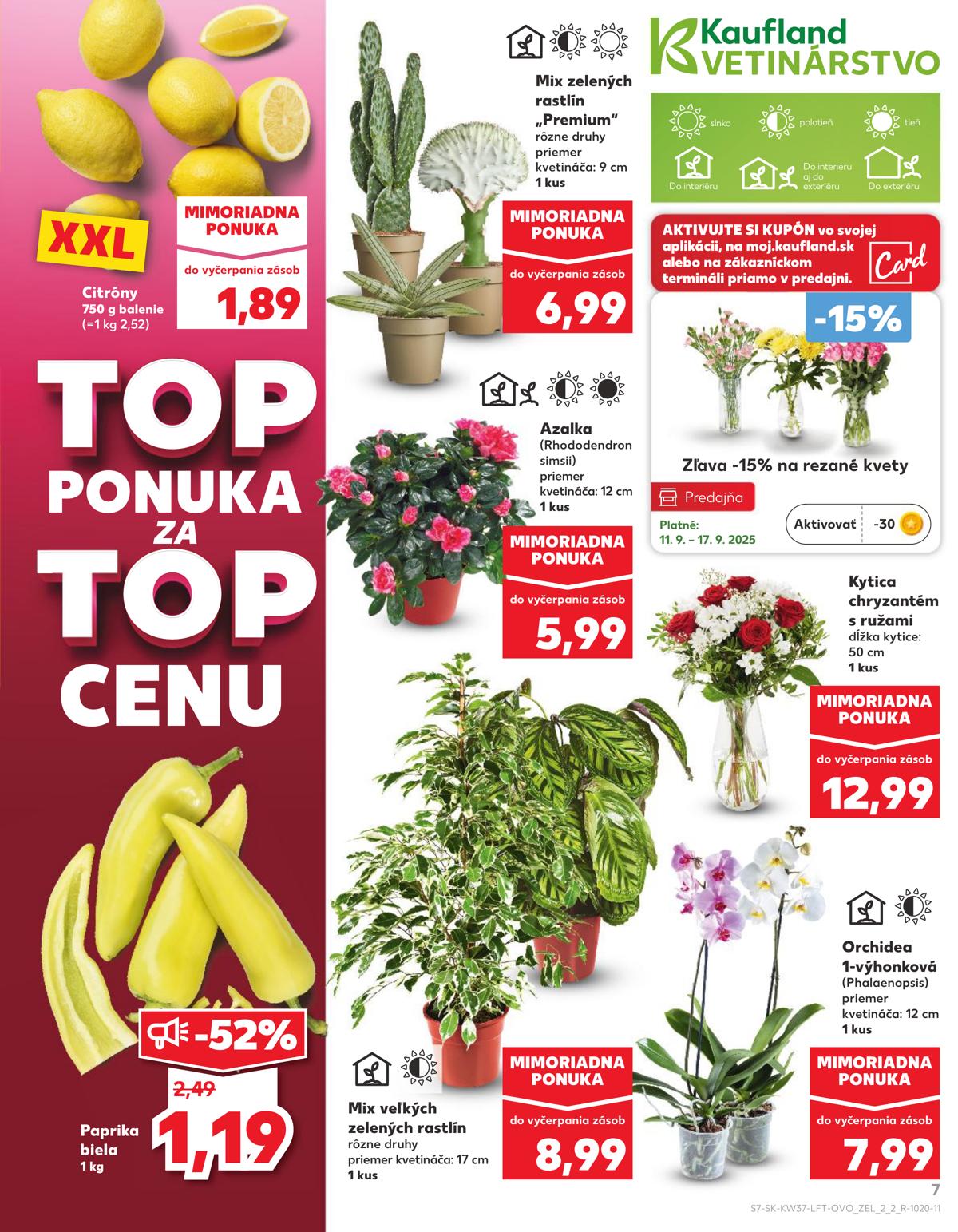 Kaufland leaflet 008