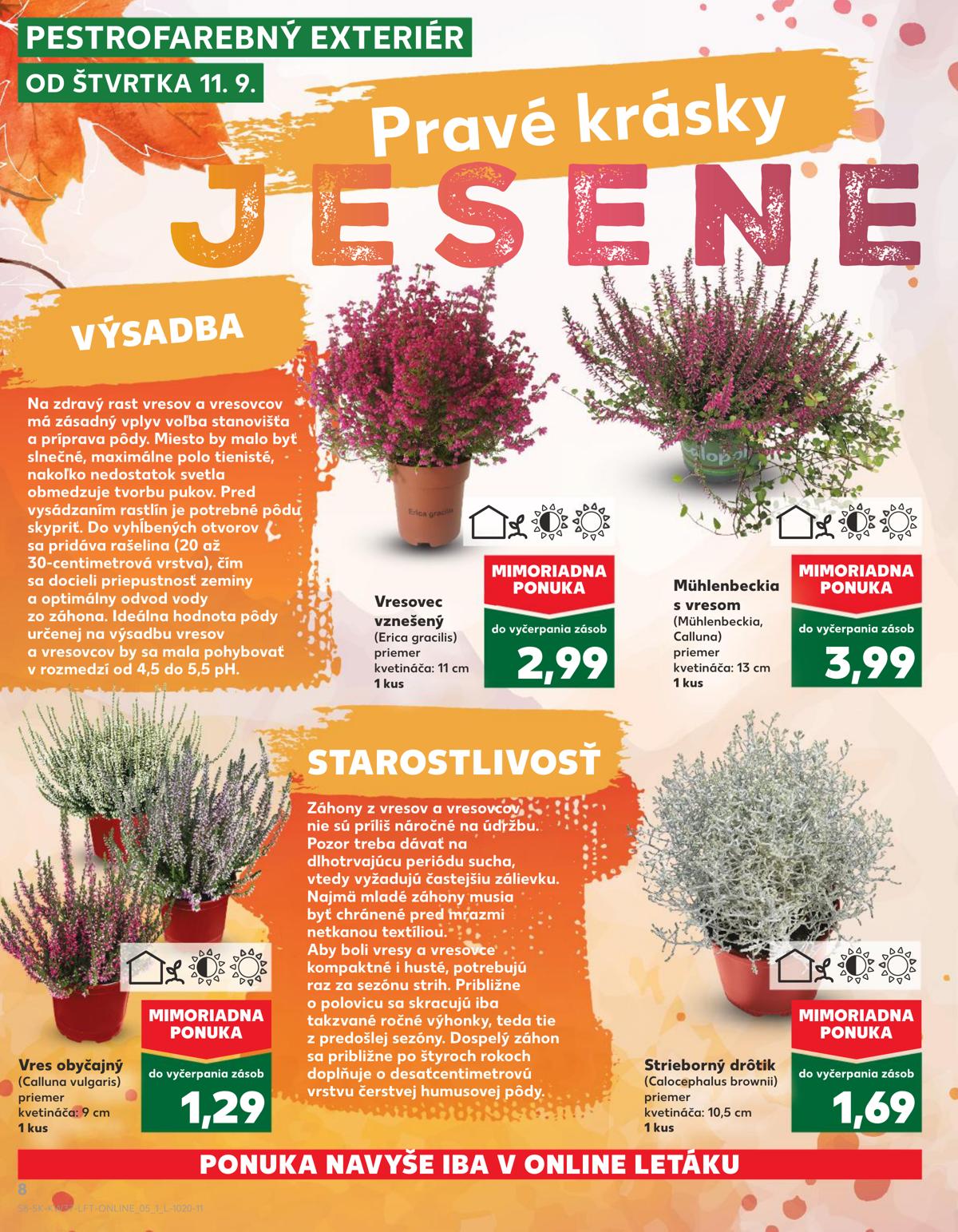 Kaufland leaflet 009