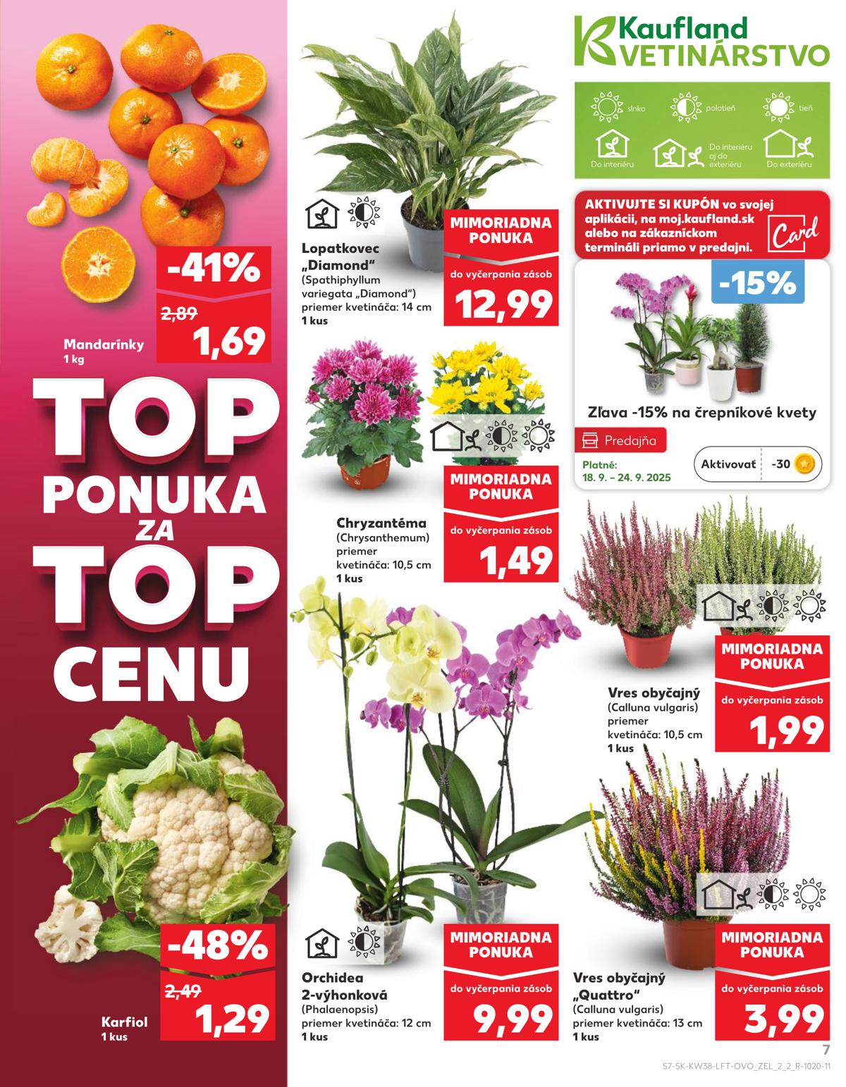 Kaufland leaflet 008