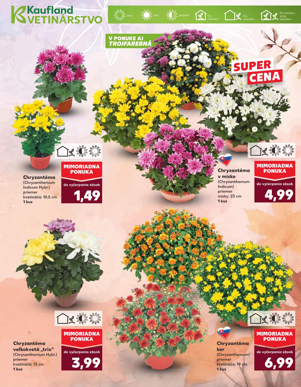 Kaufland leaflet 010