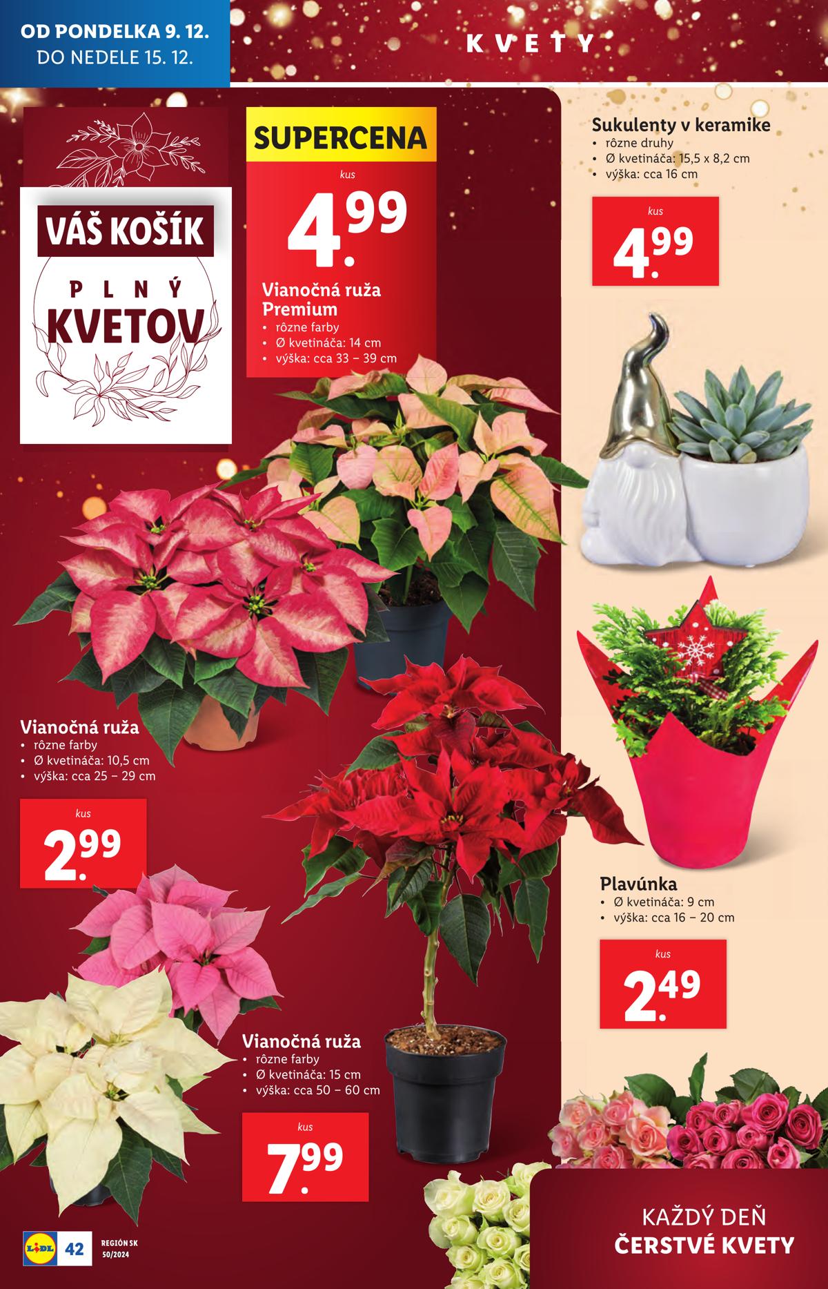 LIDL leaflet 51