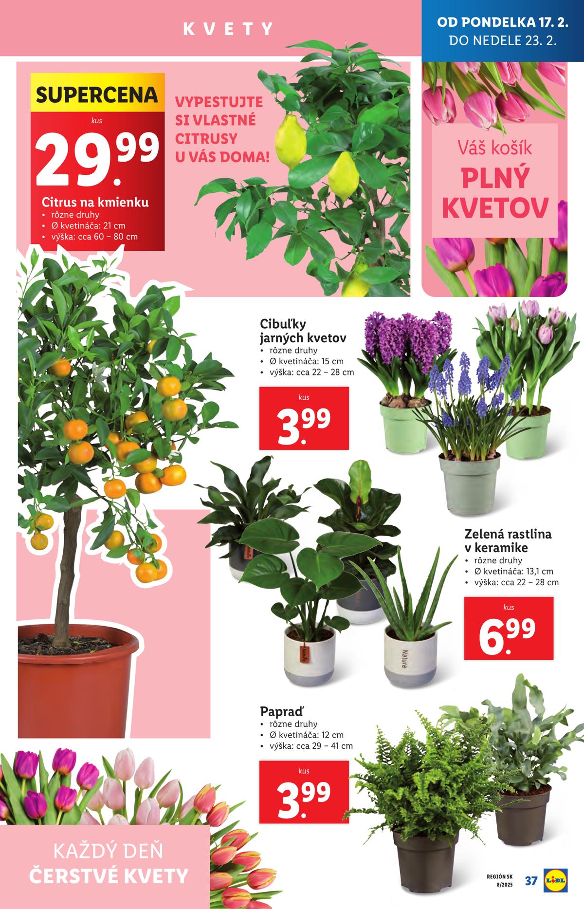 LIDL leaflet 38