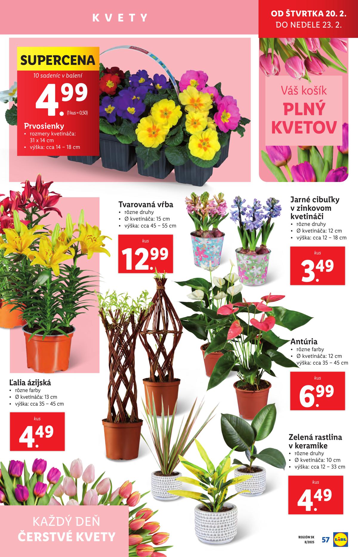 LIDL leaflet 60