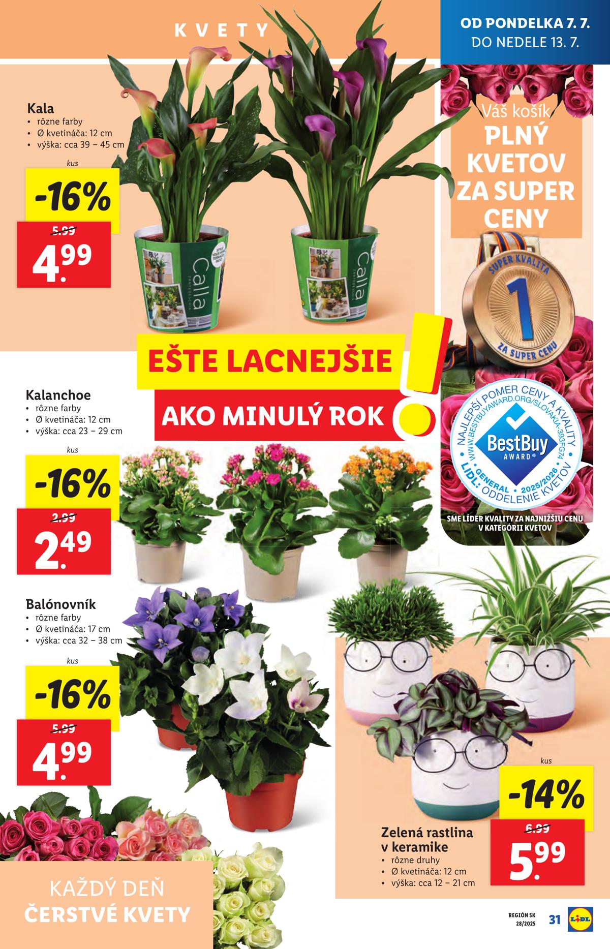 LIDL leaflet 034