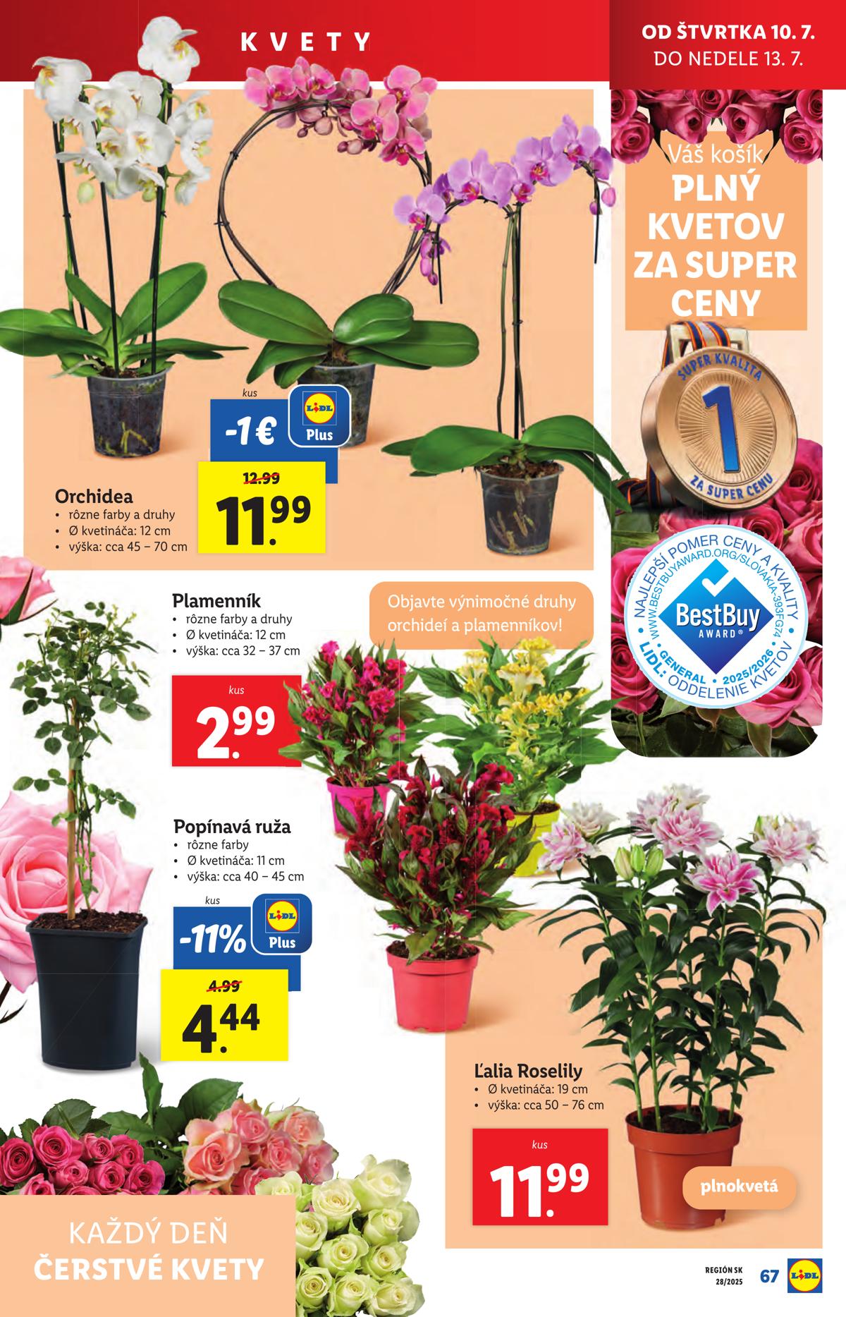 LIDL leaflet 080