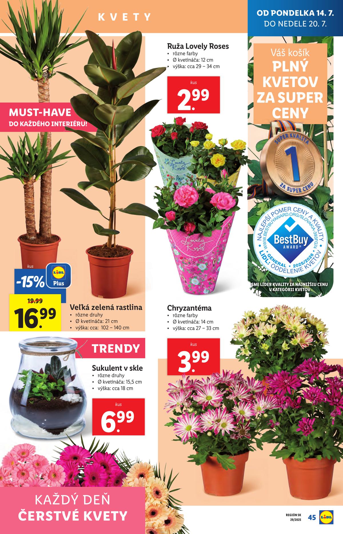LIDL leaflet 054