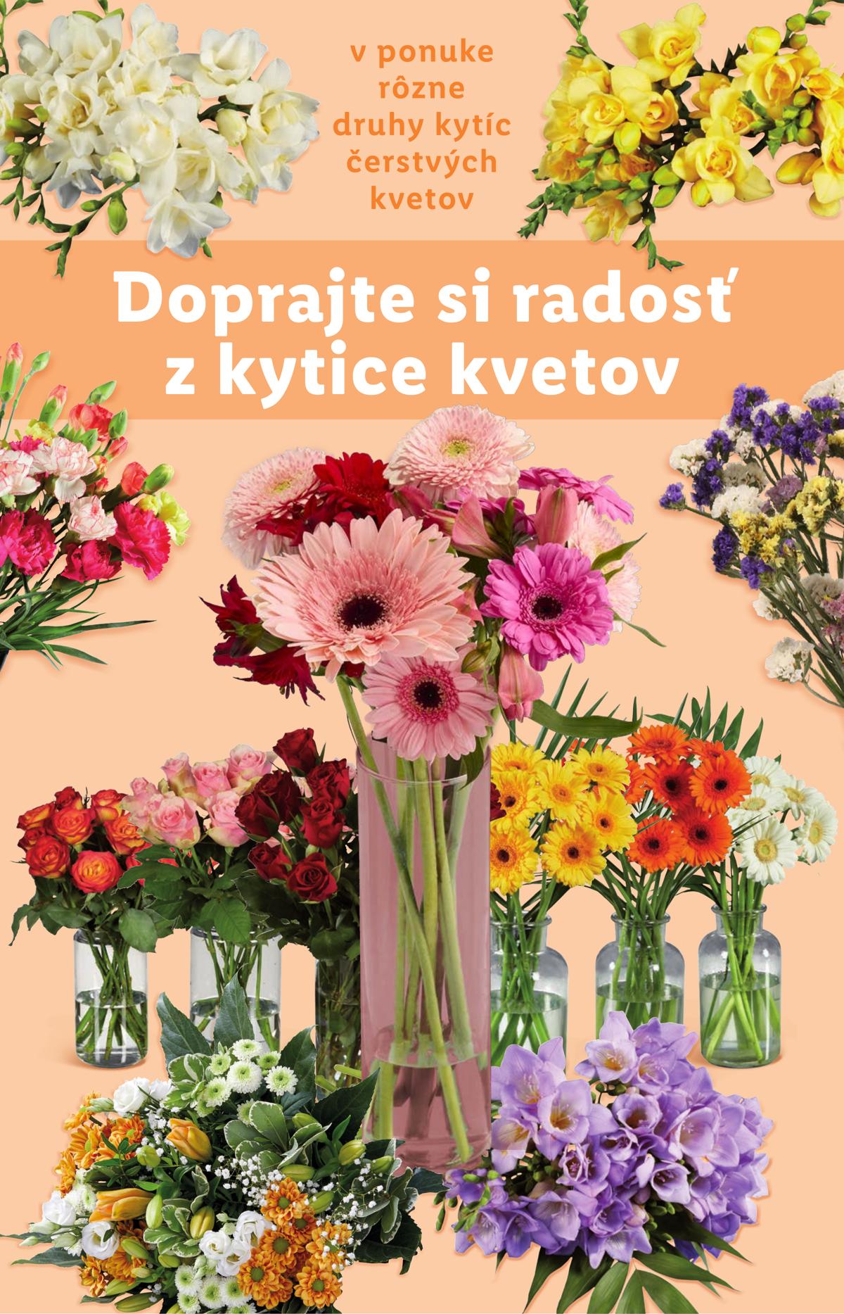 LIDL leaflet 043