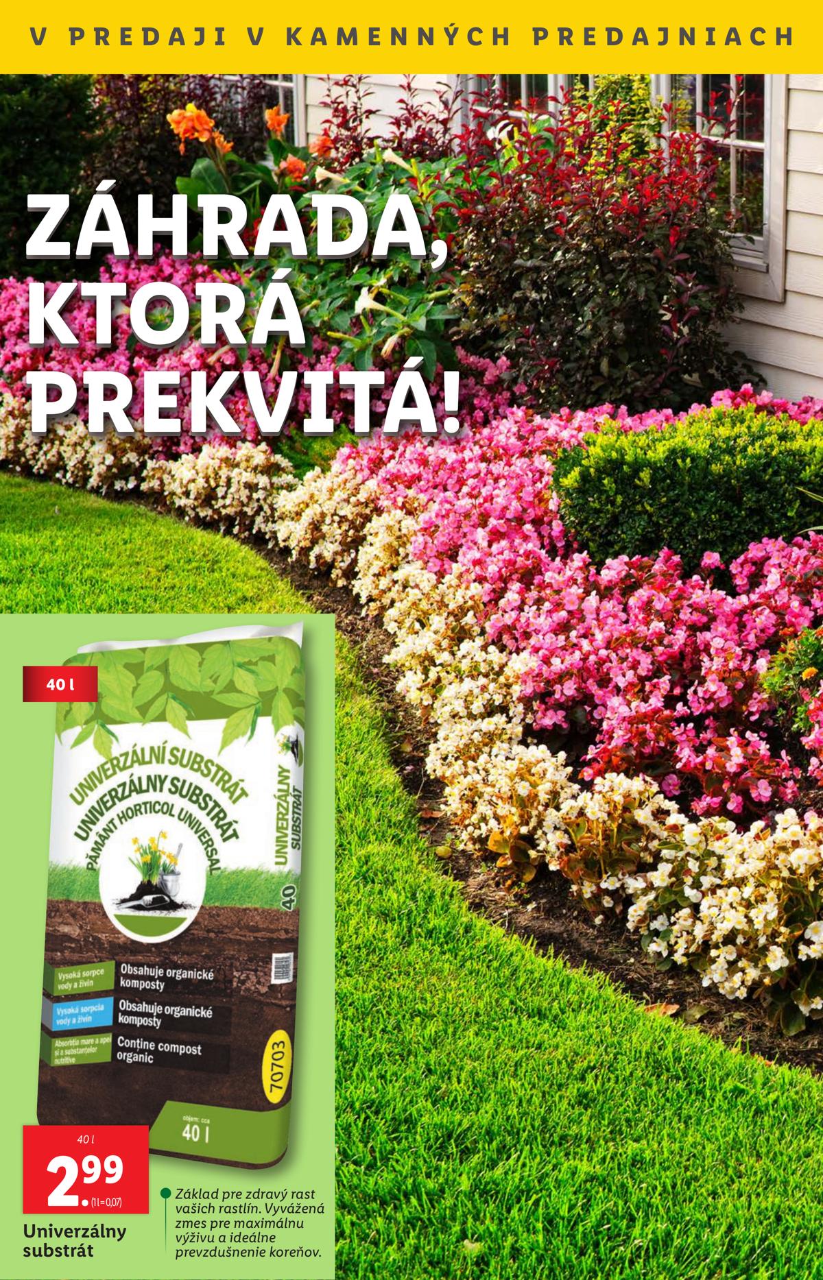 LIDL leaflet 044