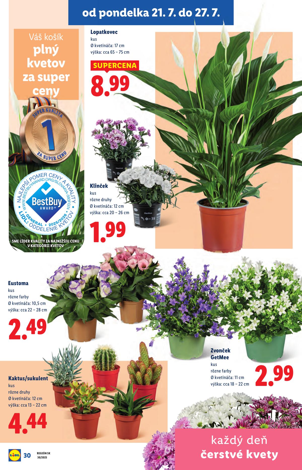 LIDL leaflet 045