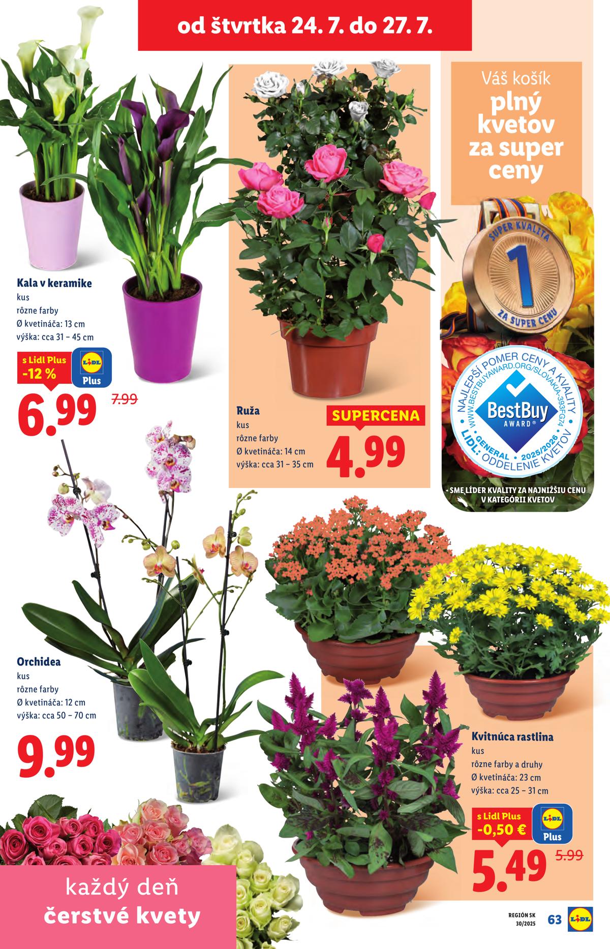 LIDL leaflet 088