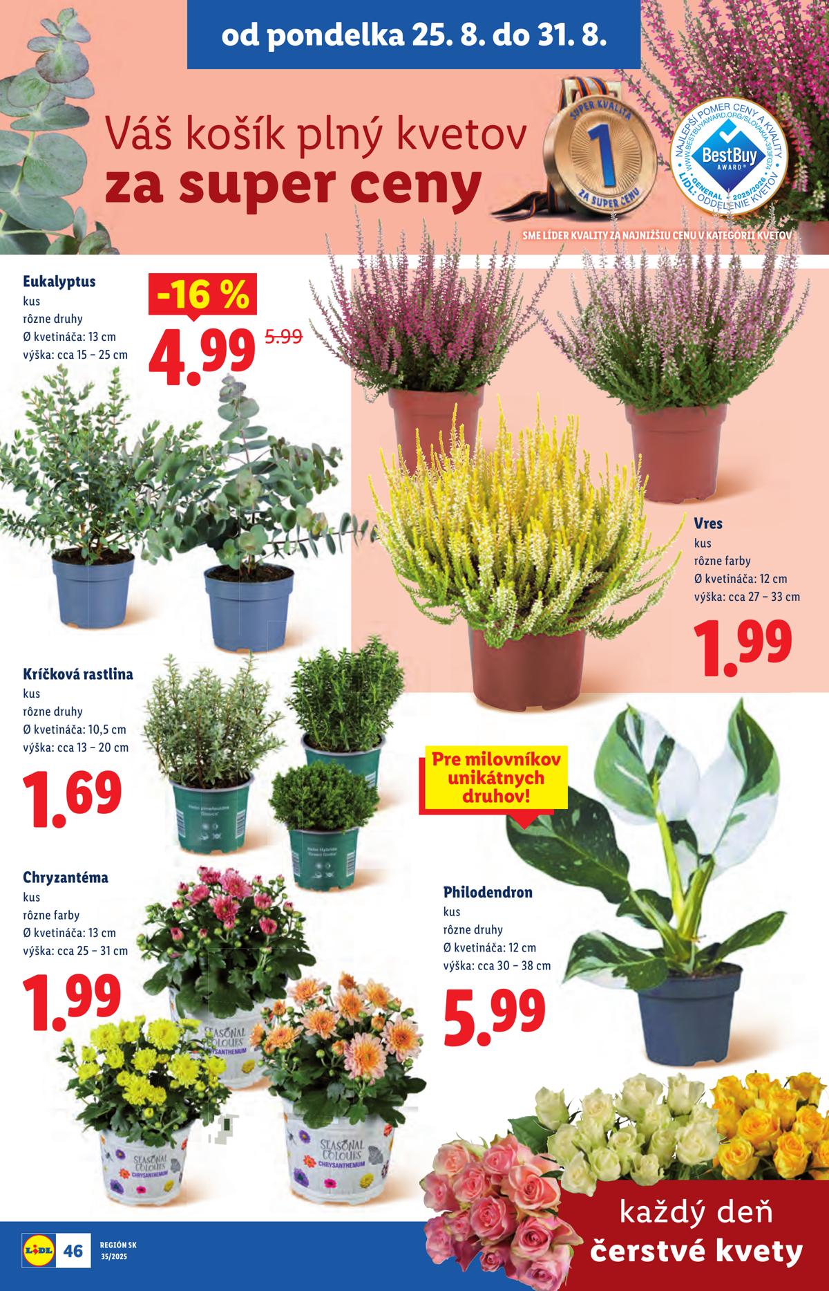 LIDL leaflet 061