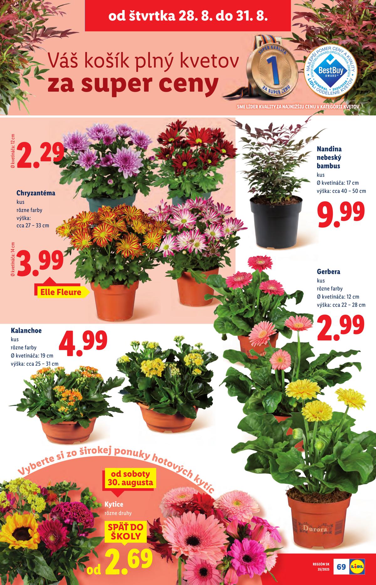 LIDL leaflet 080