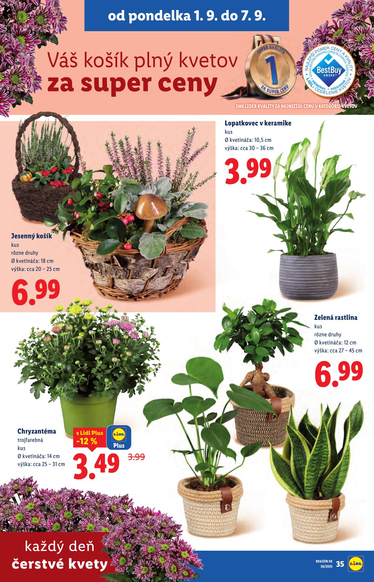 LIDL leaflet 046