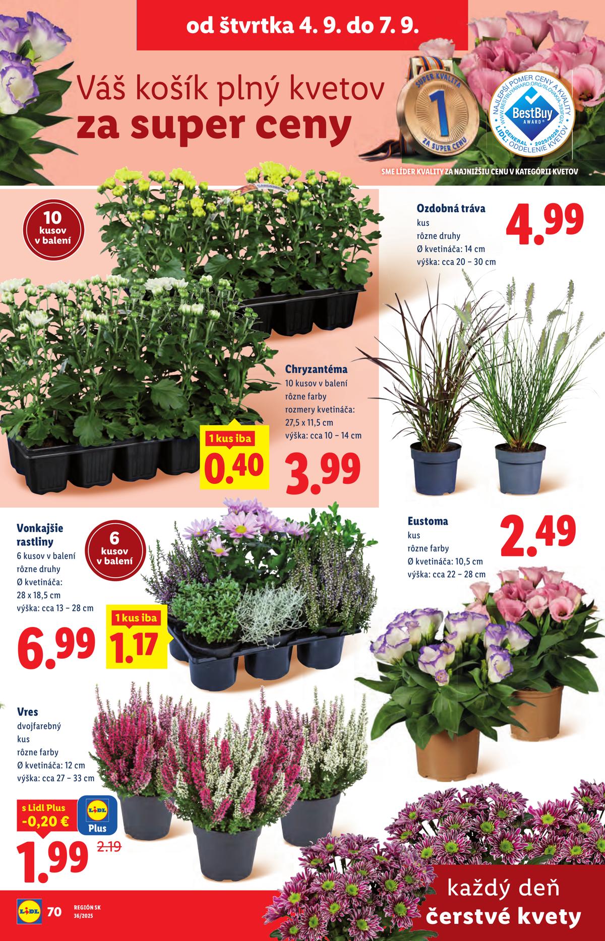 LIDL leaflet 093