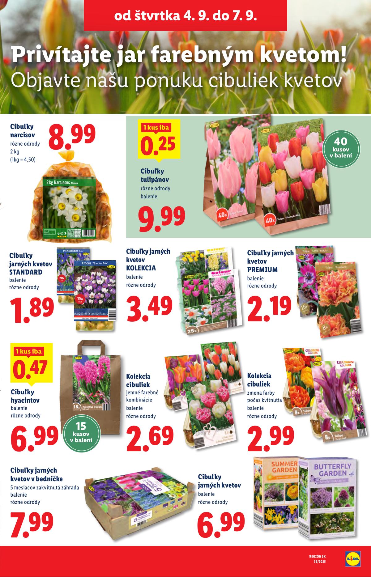 LIDL leaflet 100