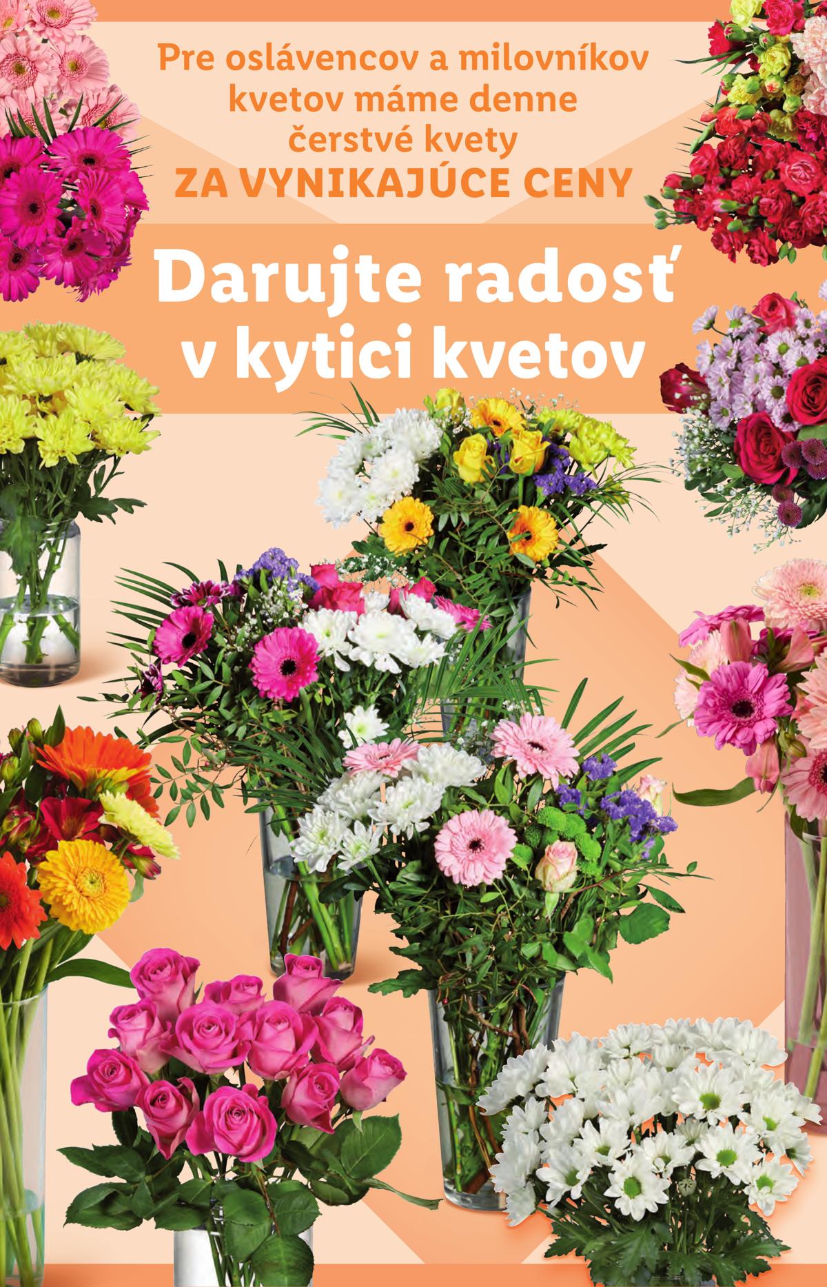 LIDL leaflet 048