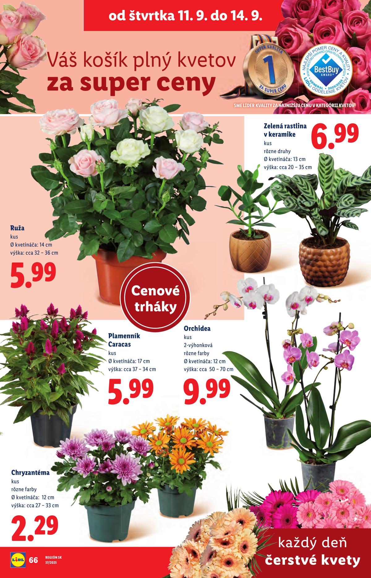 LIDL leaflet 083