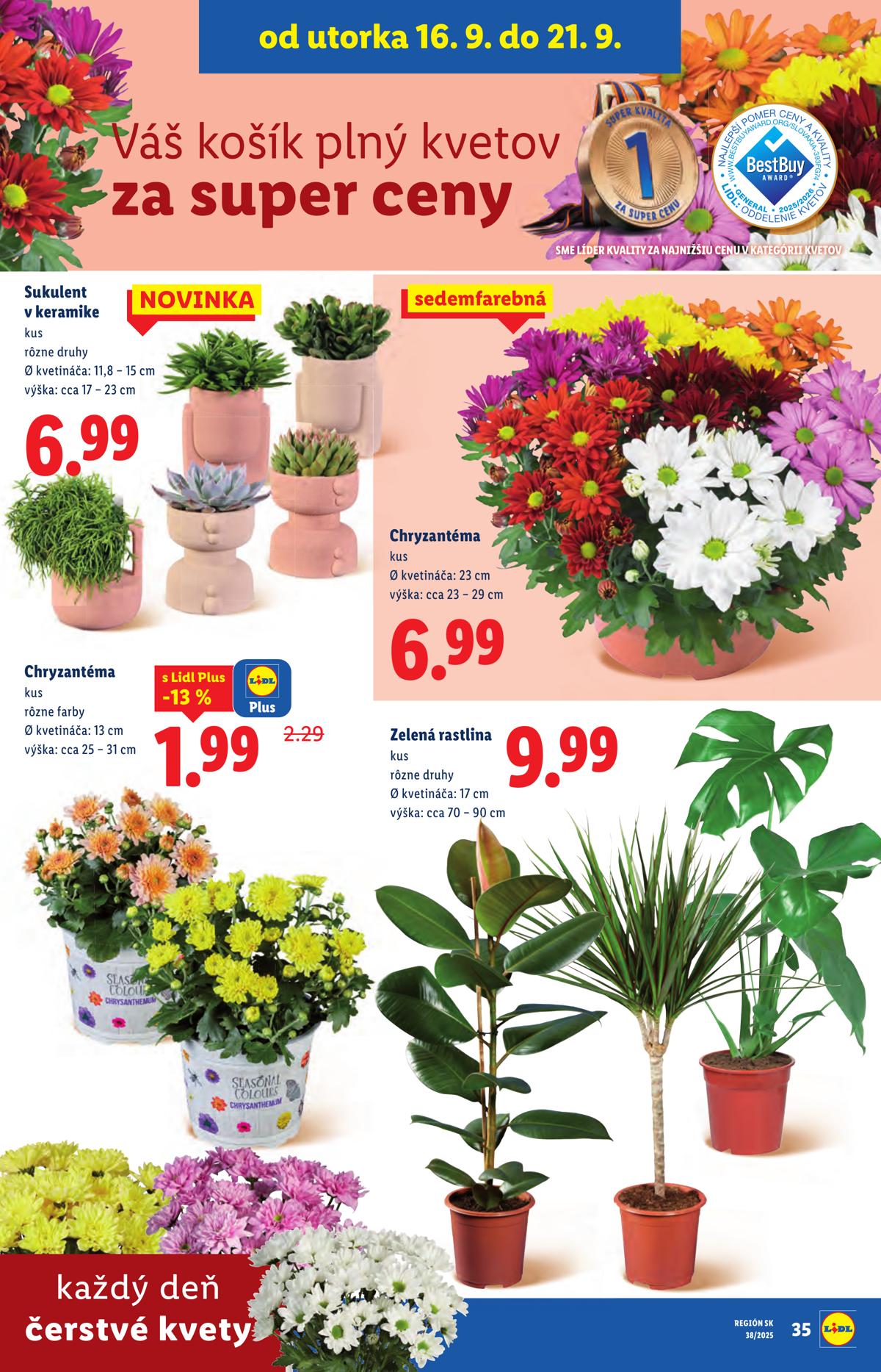 LIDL leaflet 051