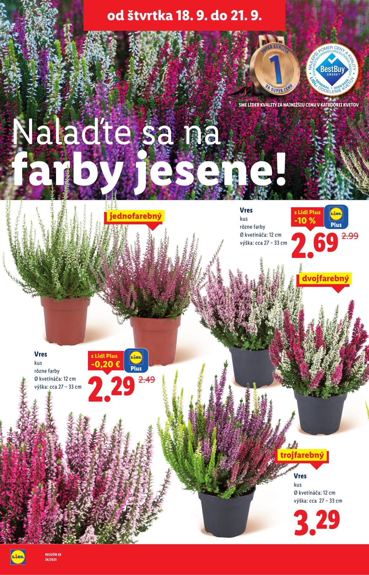 LIDL leaflet 089