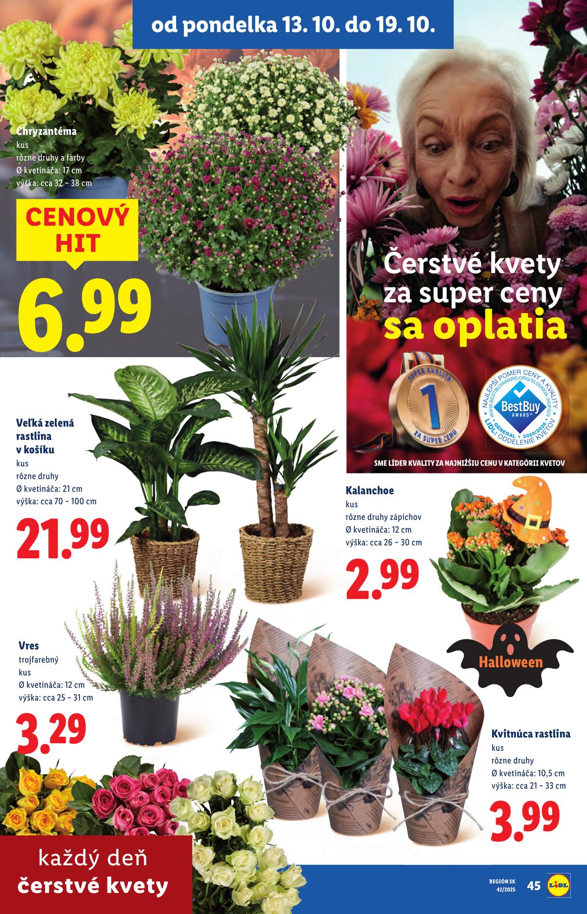 LIDL leaflet 072