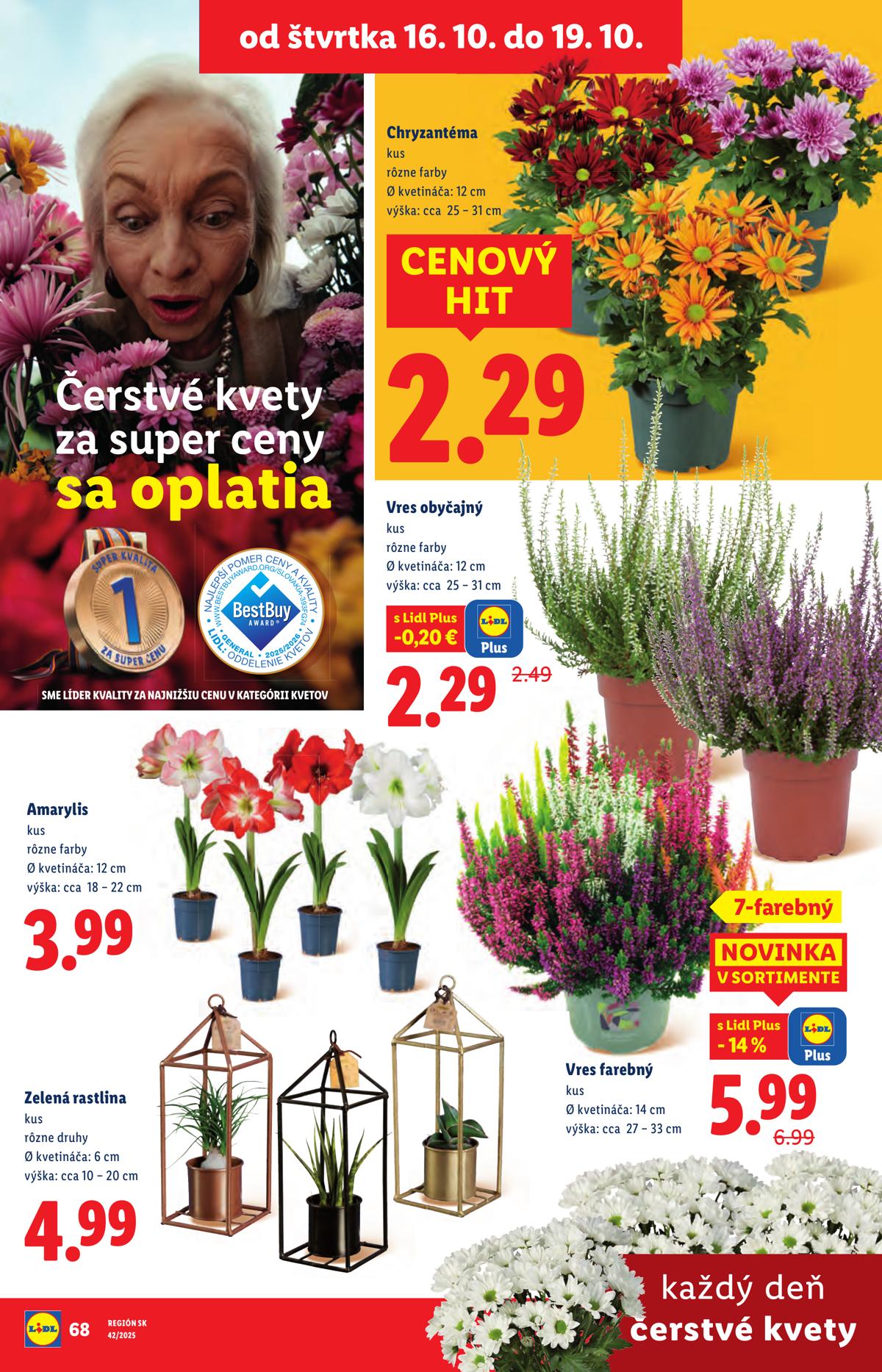 LIDL leaflet 093