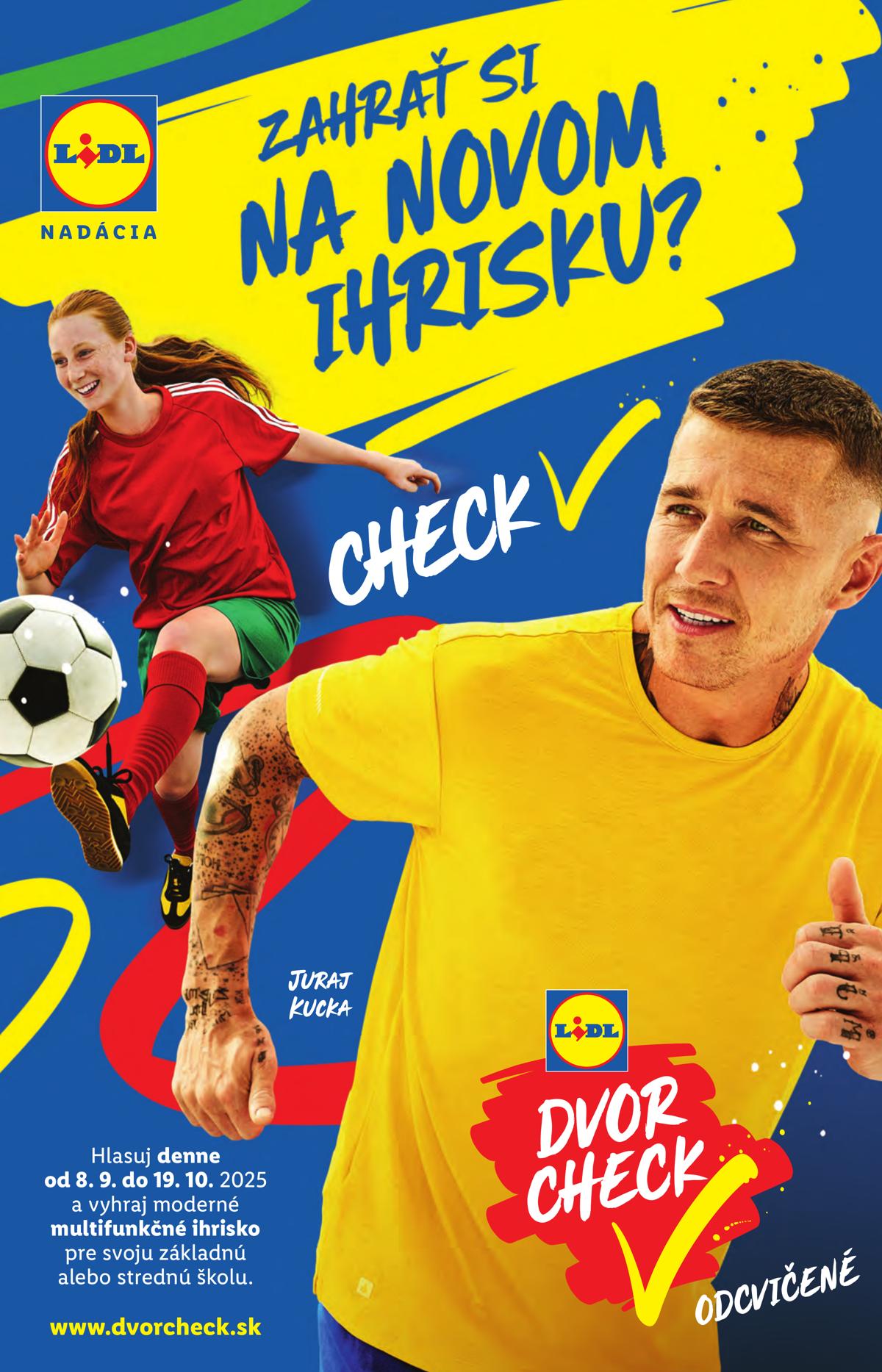 LIDL leaflet 102