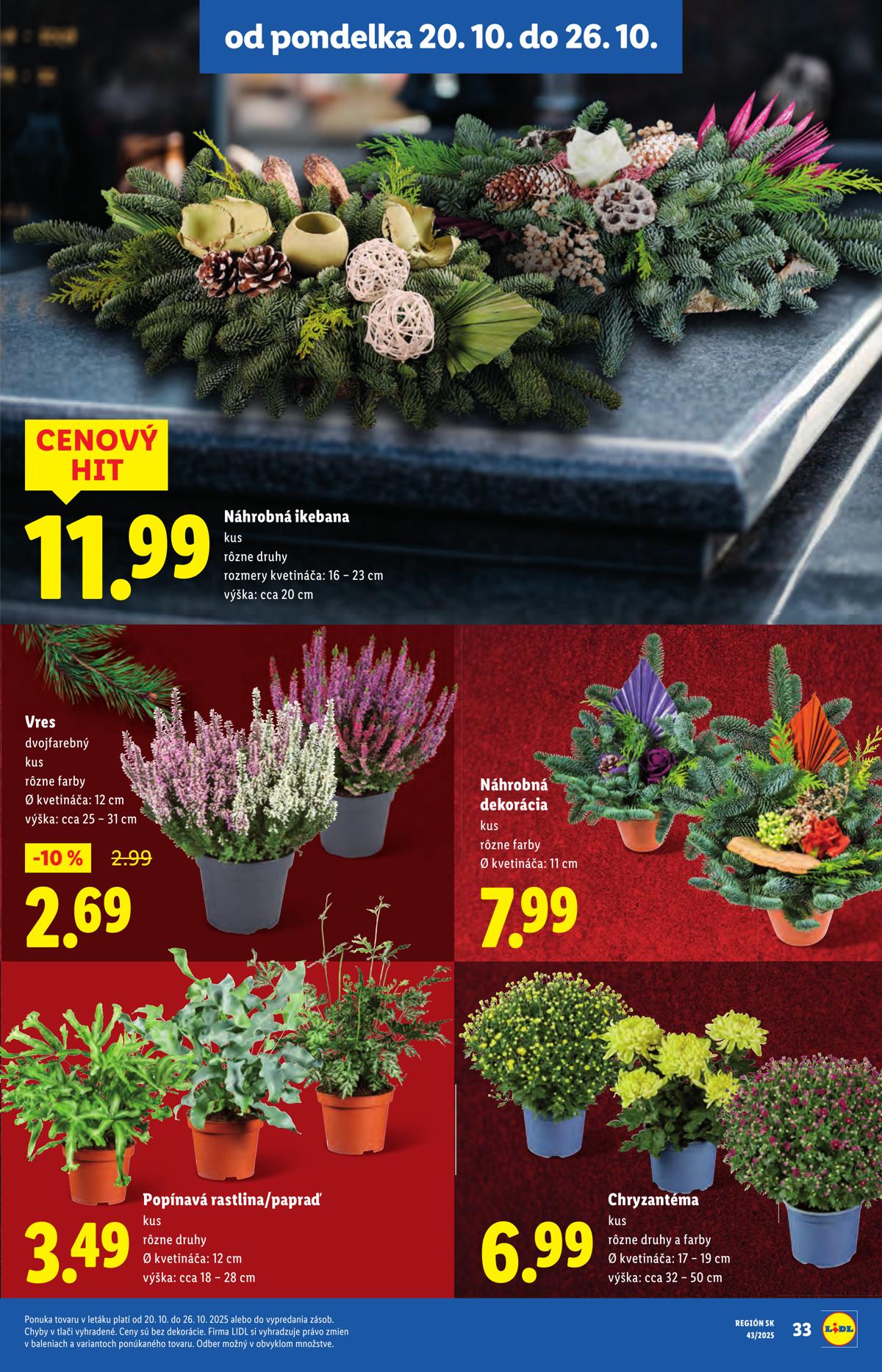 LIDL leaflet 050
