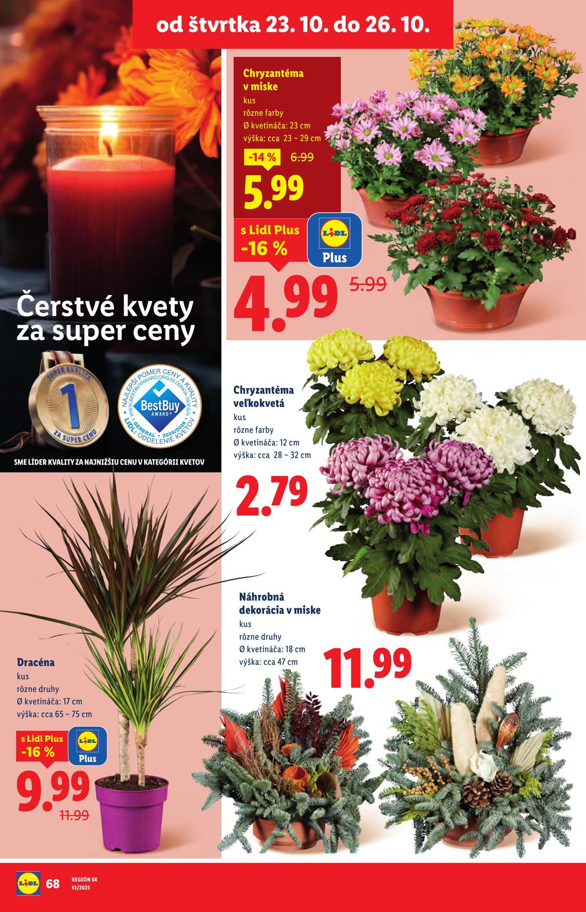 LIDL leaflet 085