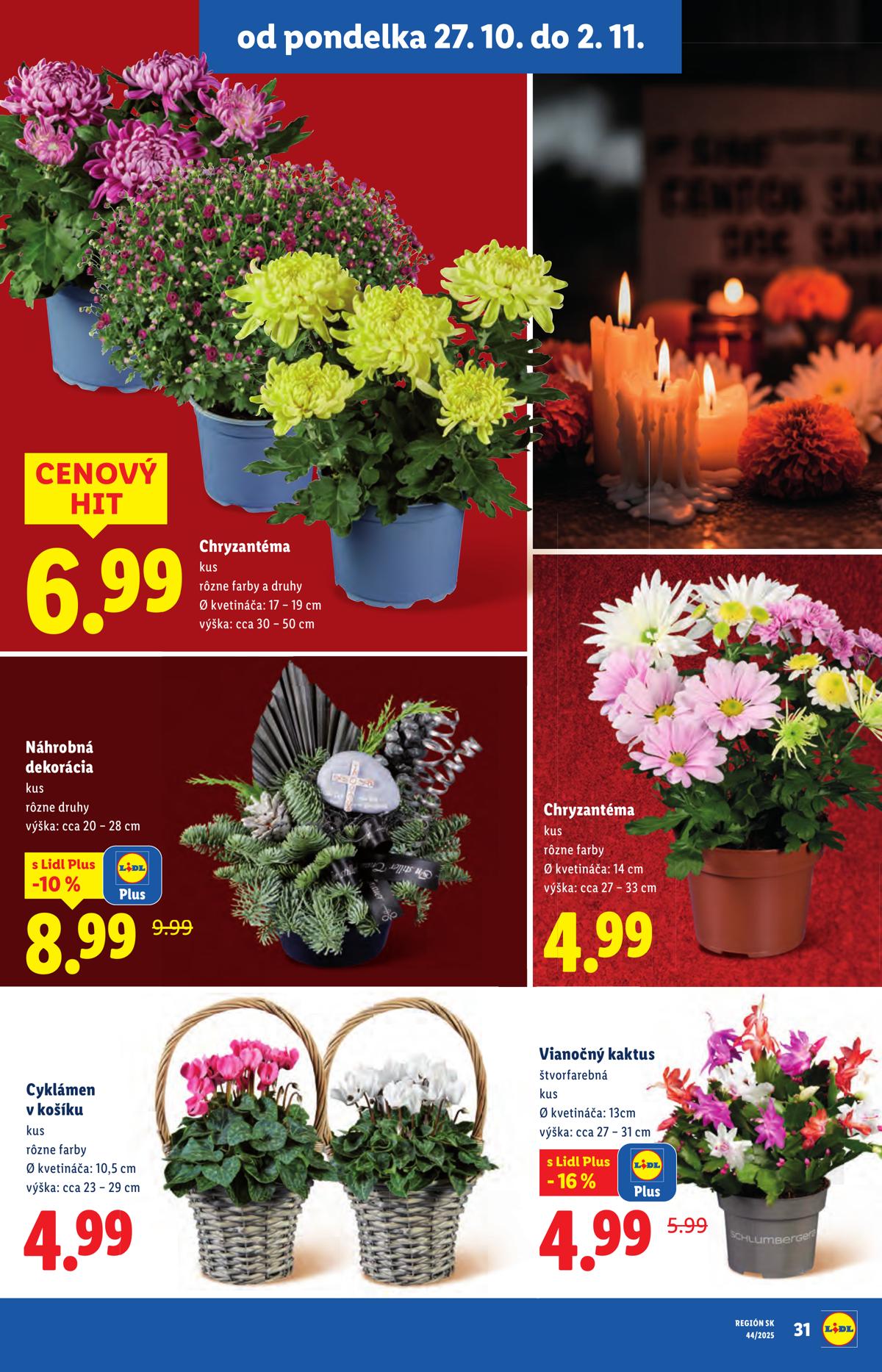 LIDL leaflet 042