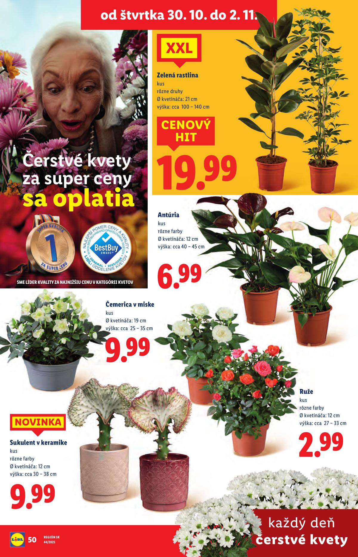 LIDL leaflet 078