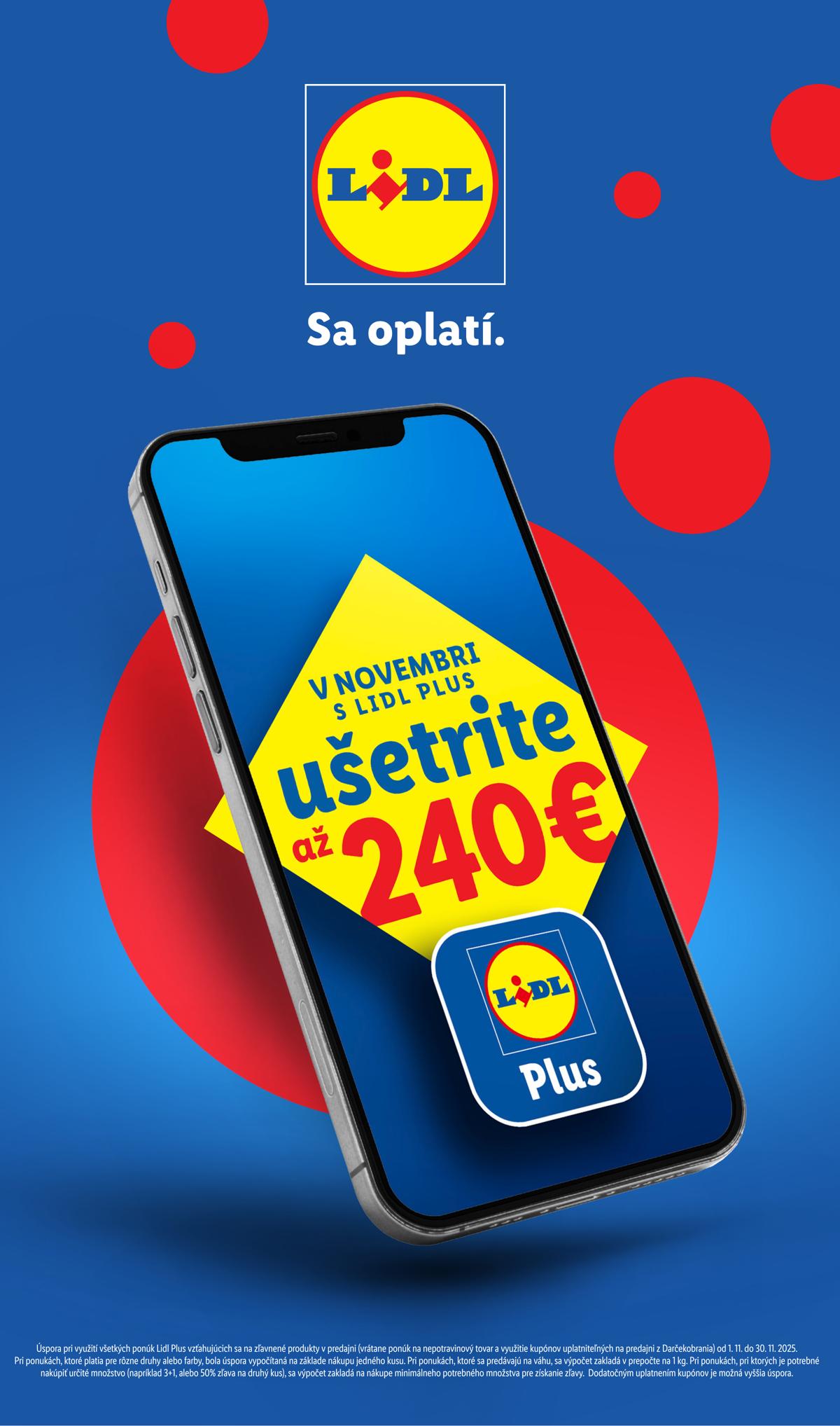 LIDL leaflet 030