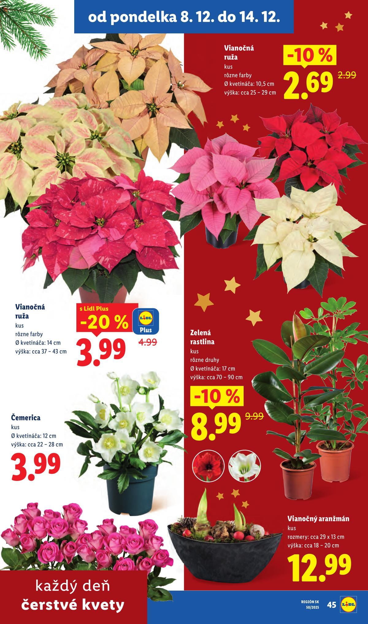 LIDL leaflet 048