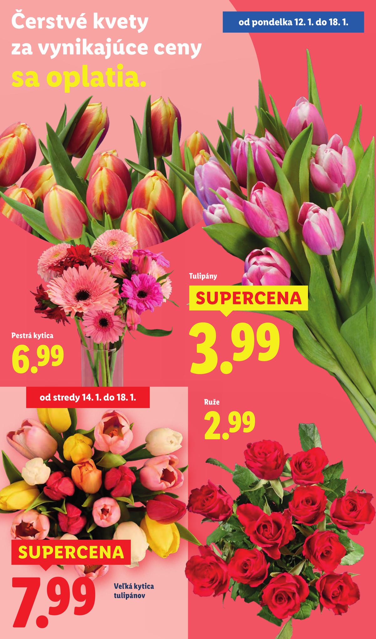 LIDL leaflet 035
