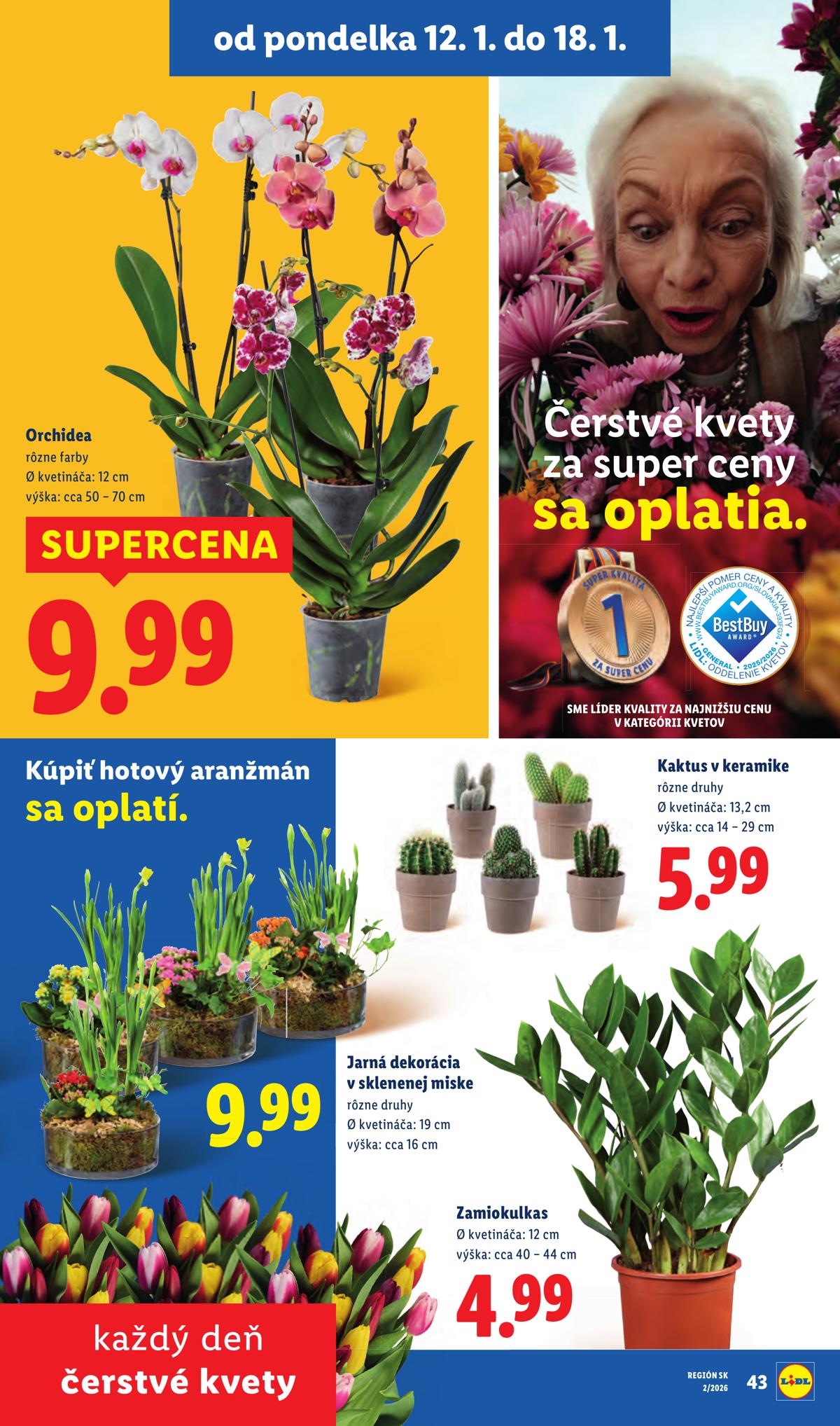 LIDL leaflet 036