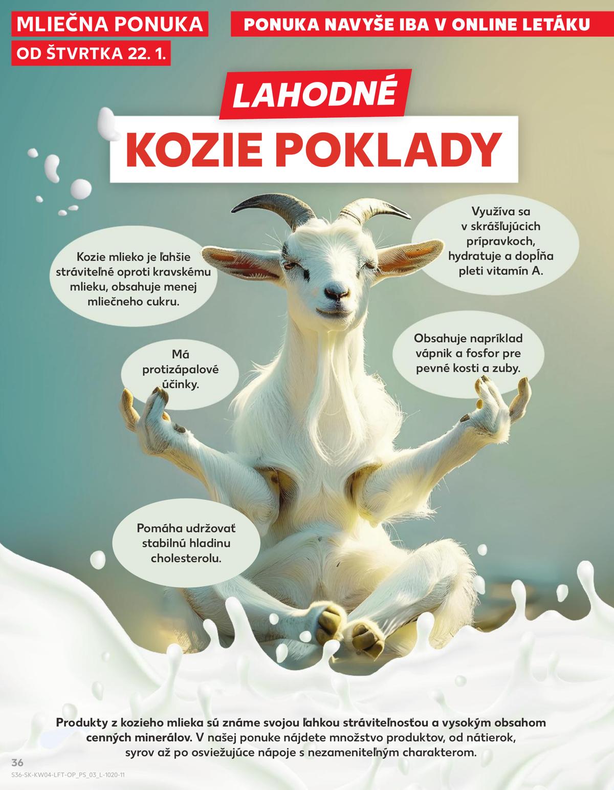 Kaufland leaflet 037