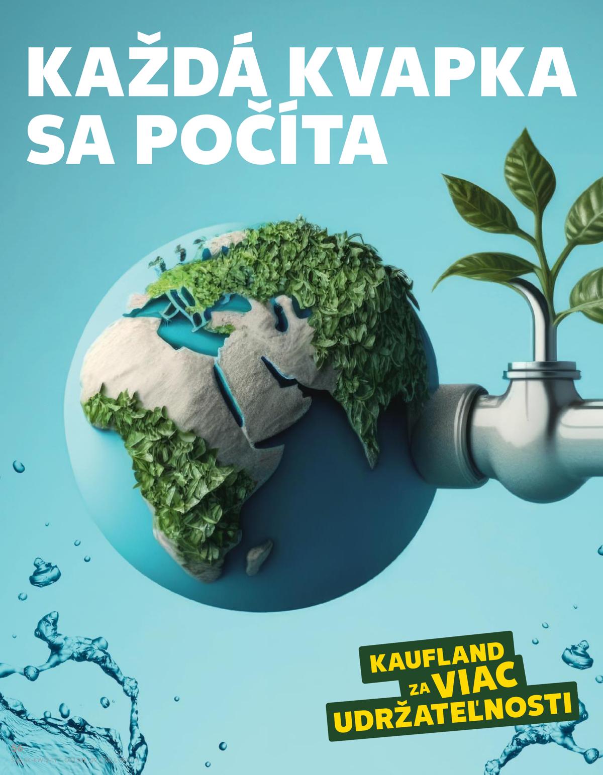 Kaufland leaflet 056