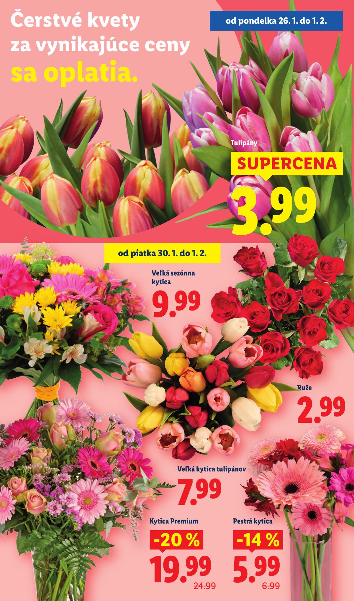 LIDL leaflet 043