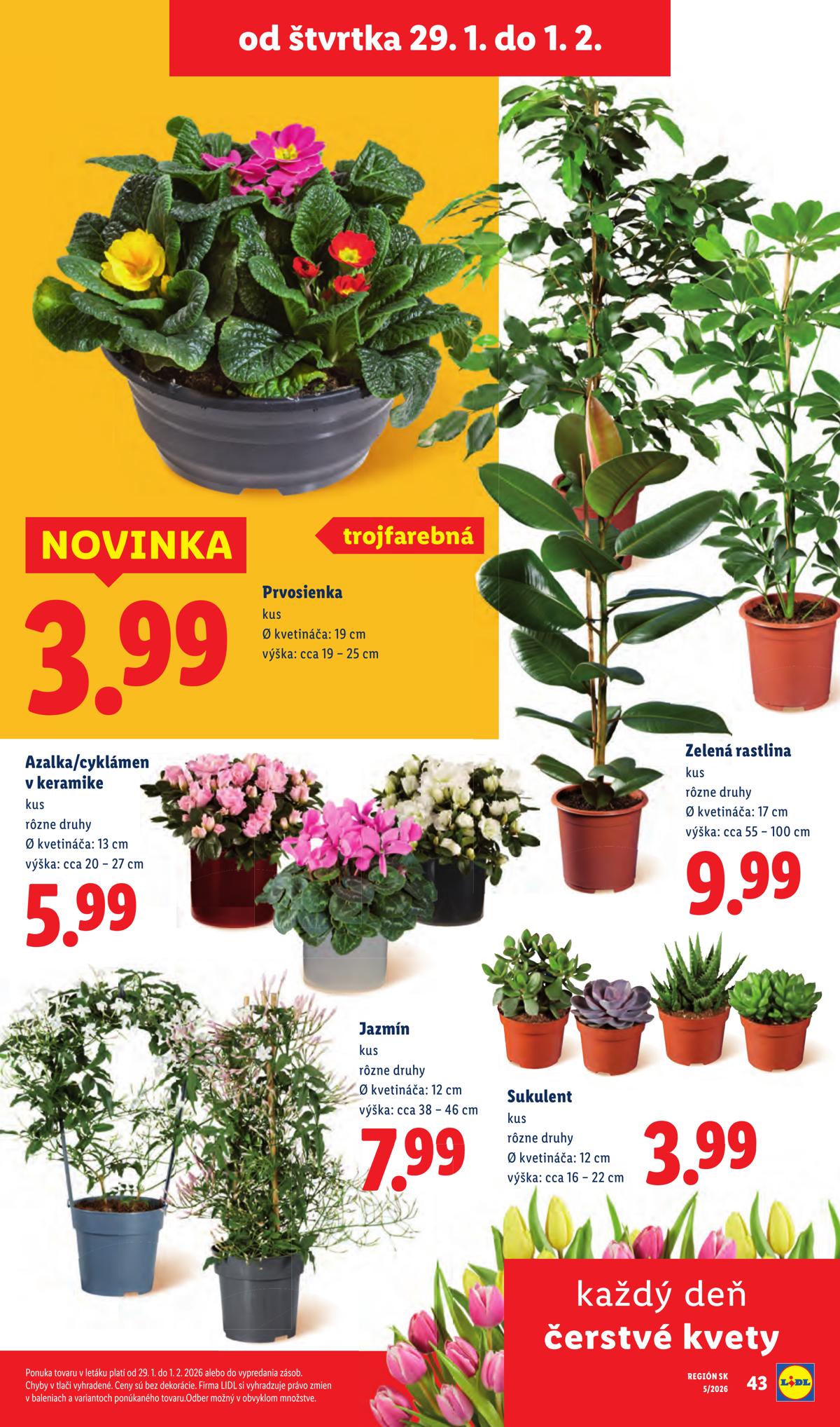 LIDL leaflet 082