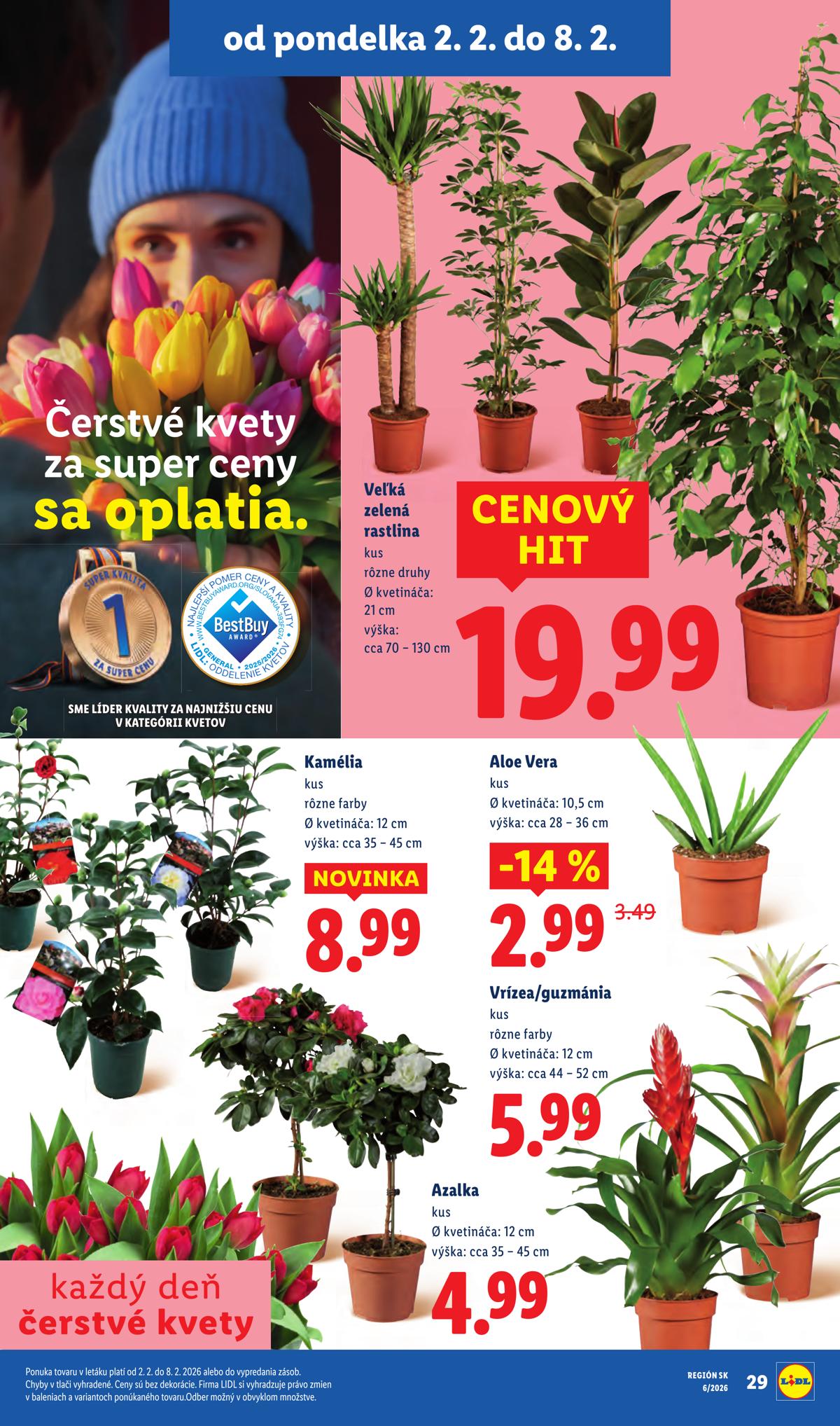 LIDL leaflet 037