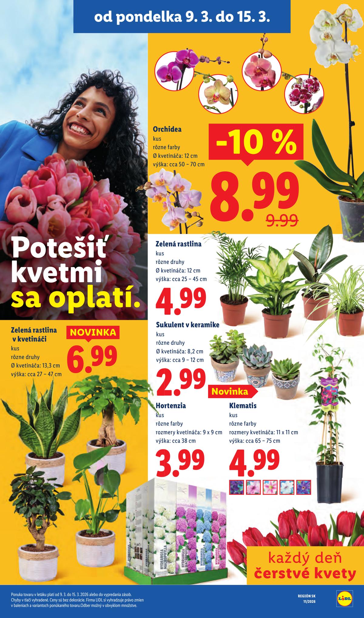 LIDL leaflet 040