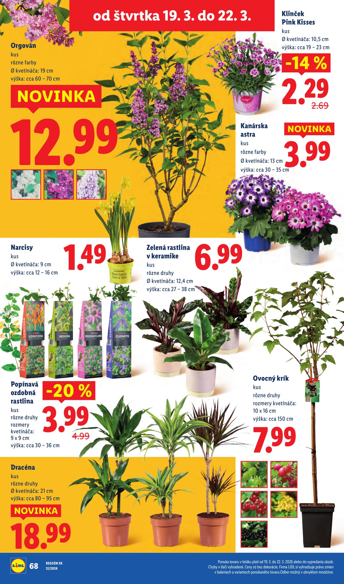 LIDL leaflet 088