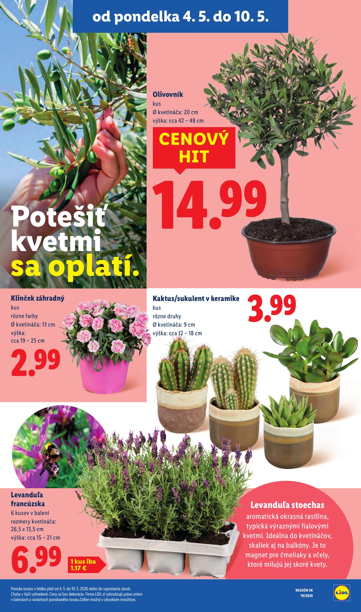 LIDL leaflet 042
