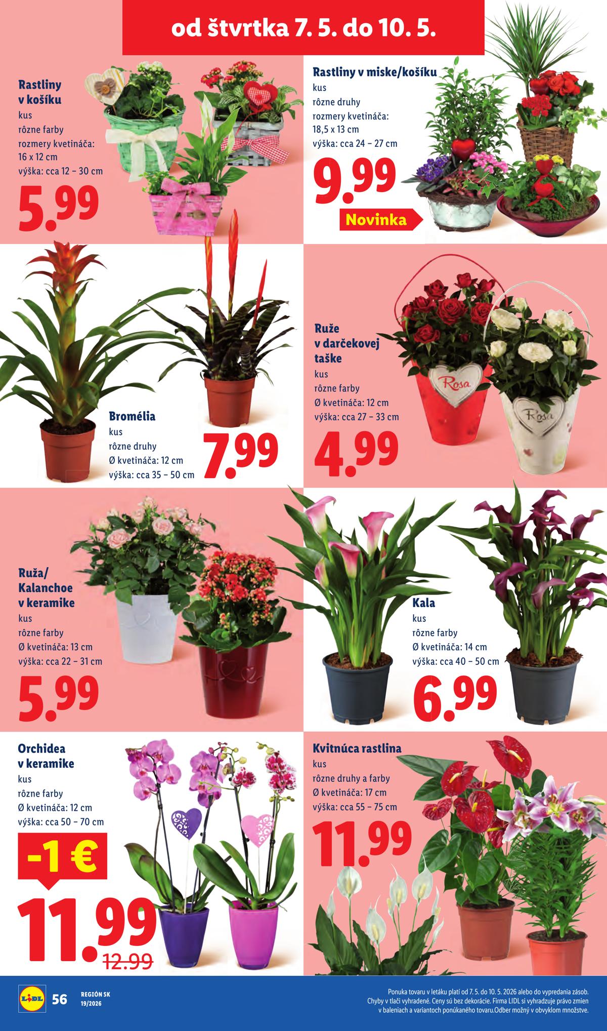 LIDL leaflet 068