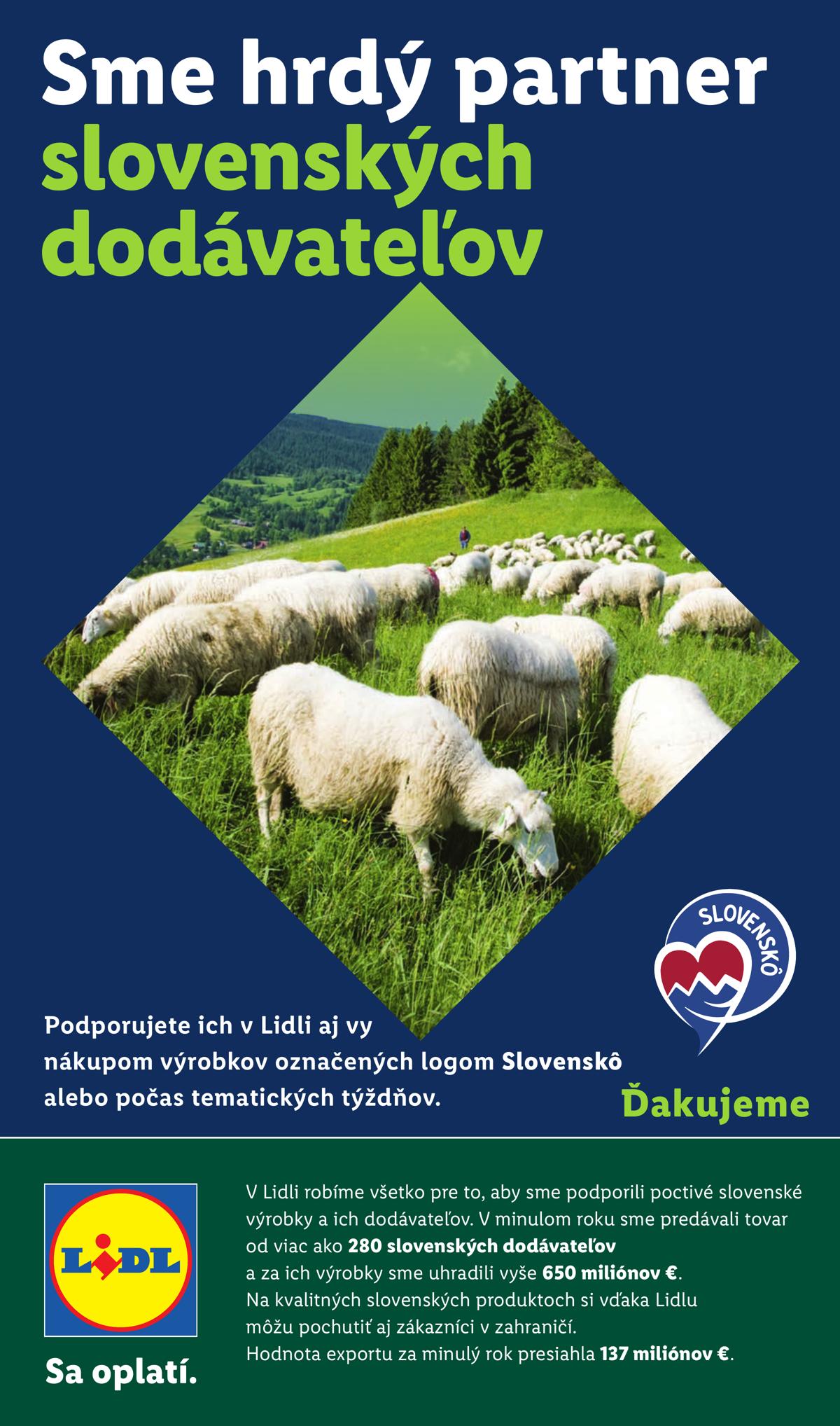 LIDL leaflet 093