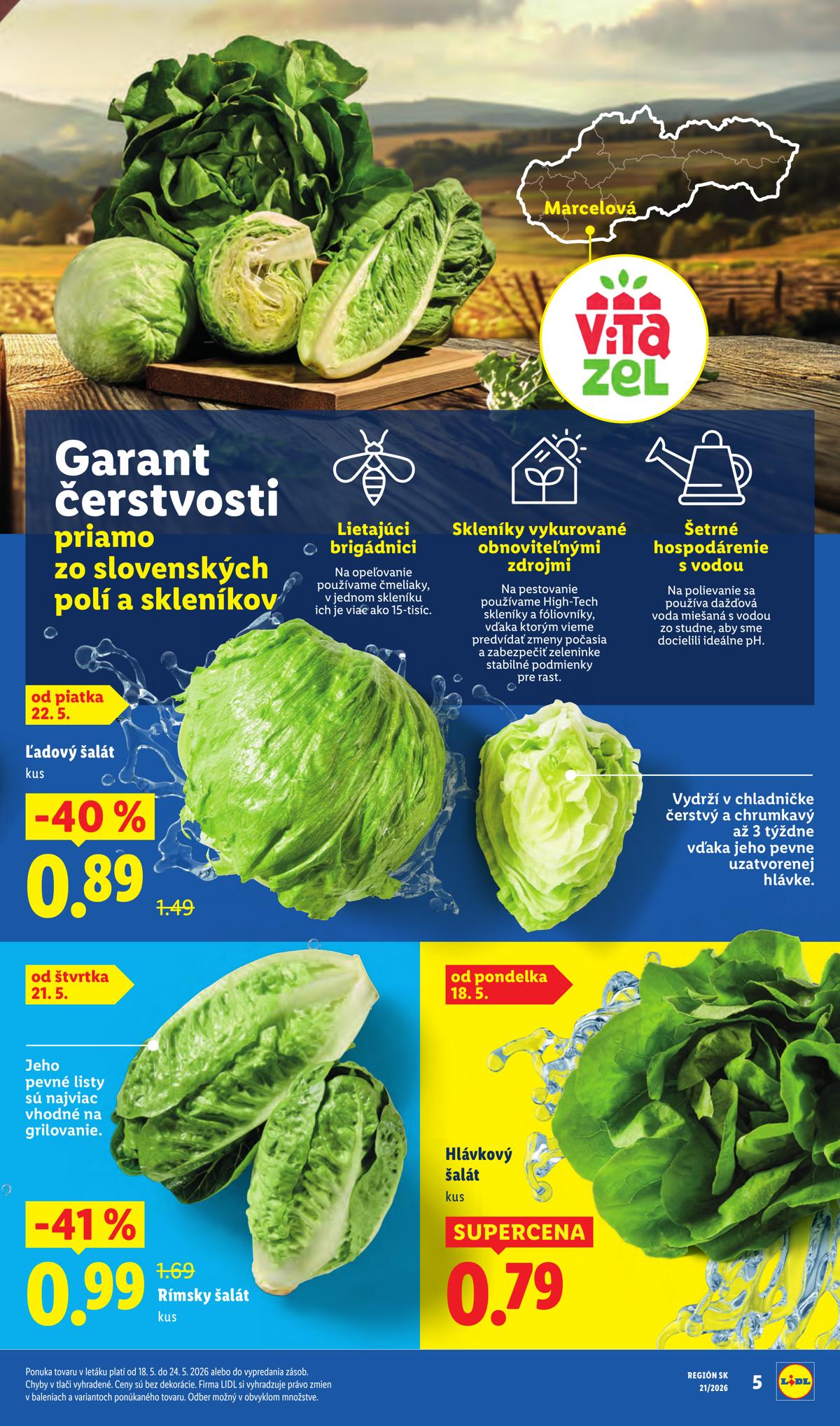 LIDL leaflet 005