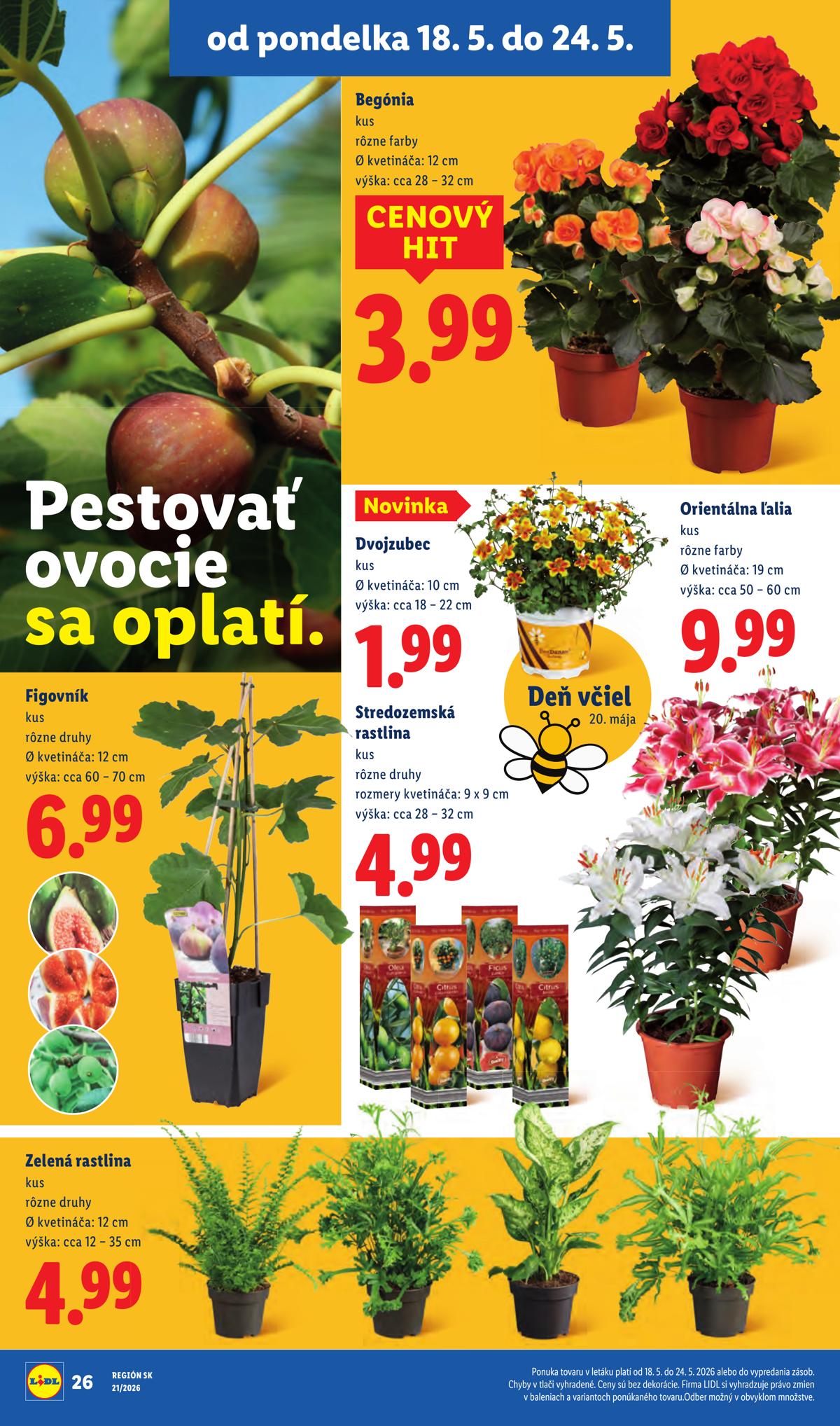 LIDL leaflet 032