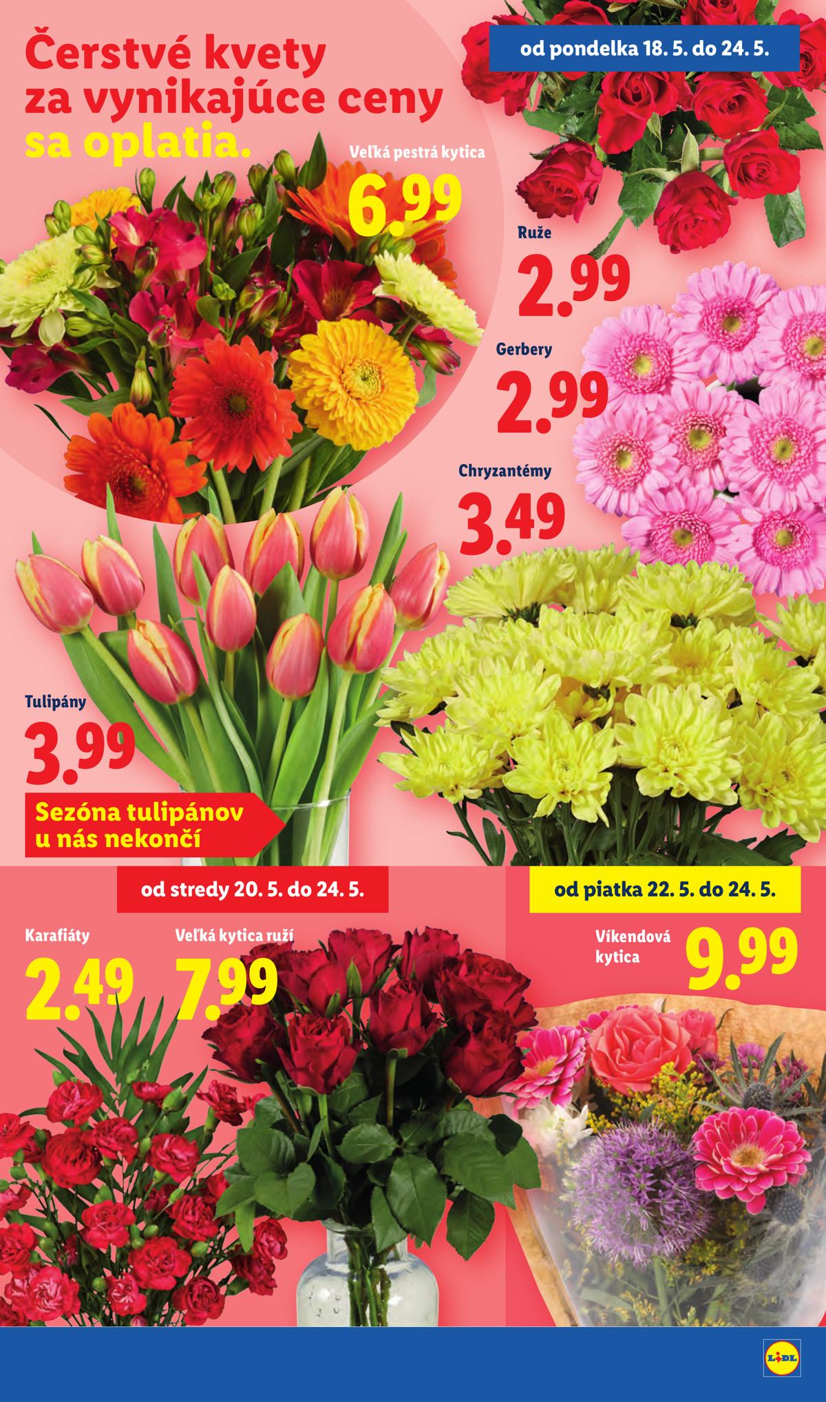 LIDL leaflet 033